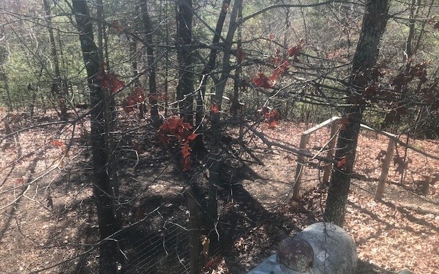 Hiawassee, Georgia, 30546, United States, 3 Bedrooms Bedrooms, ,3 BathroomsBathrooms,Residential,For Sale,1944603