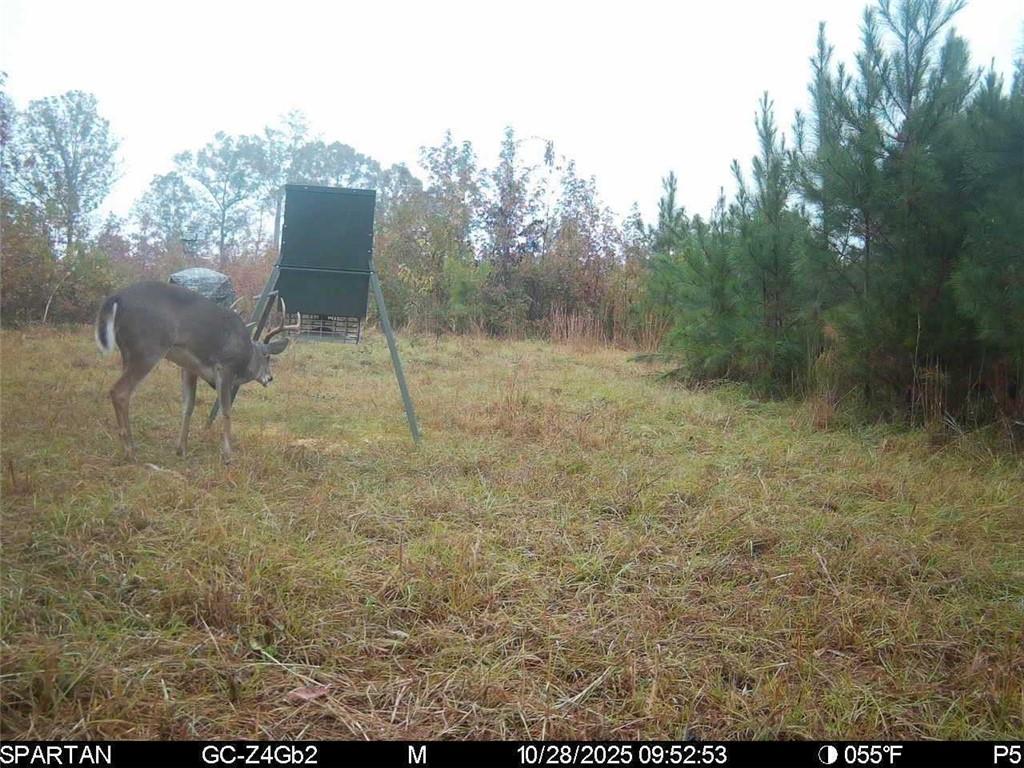 Shiloh, Georgia, 31826, United States, 3 Bedrooms Bedrooms, ,1 BathroomBathrooms,Land,For Sale,1974369