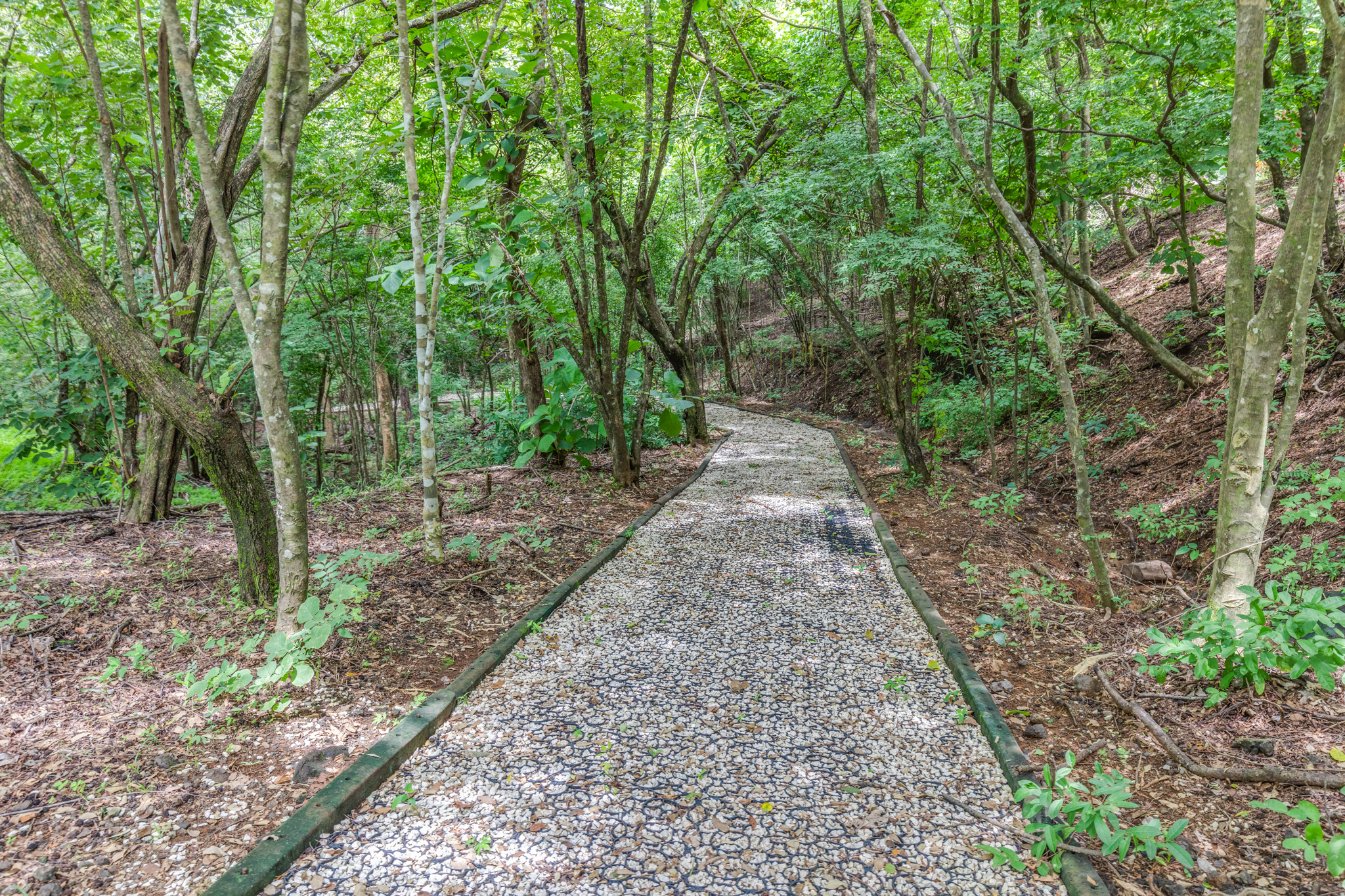 Playa Ostional, Ostional, Guanacaste, CR, ,Land,For Sale,Playa Ostional,1585993