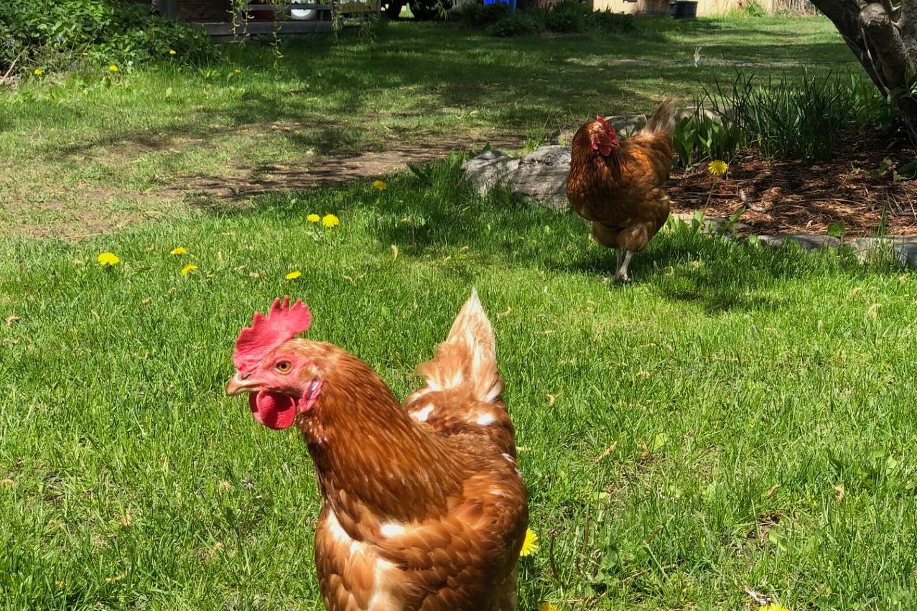  Saint-Jacques, Lanaudière - 物件實景
