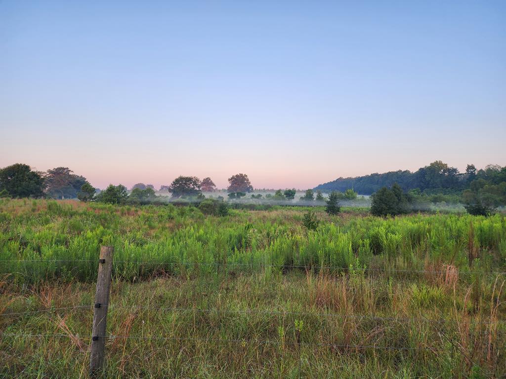 Pansey, Alabama, 36370, United States, 3 Bedrooms Bedrooms, ,3 BathroomsBathrooms,Residential,For Sale,1943922