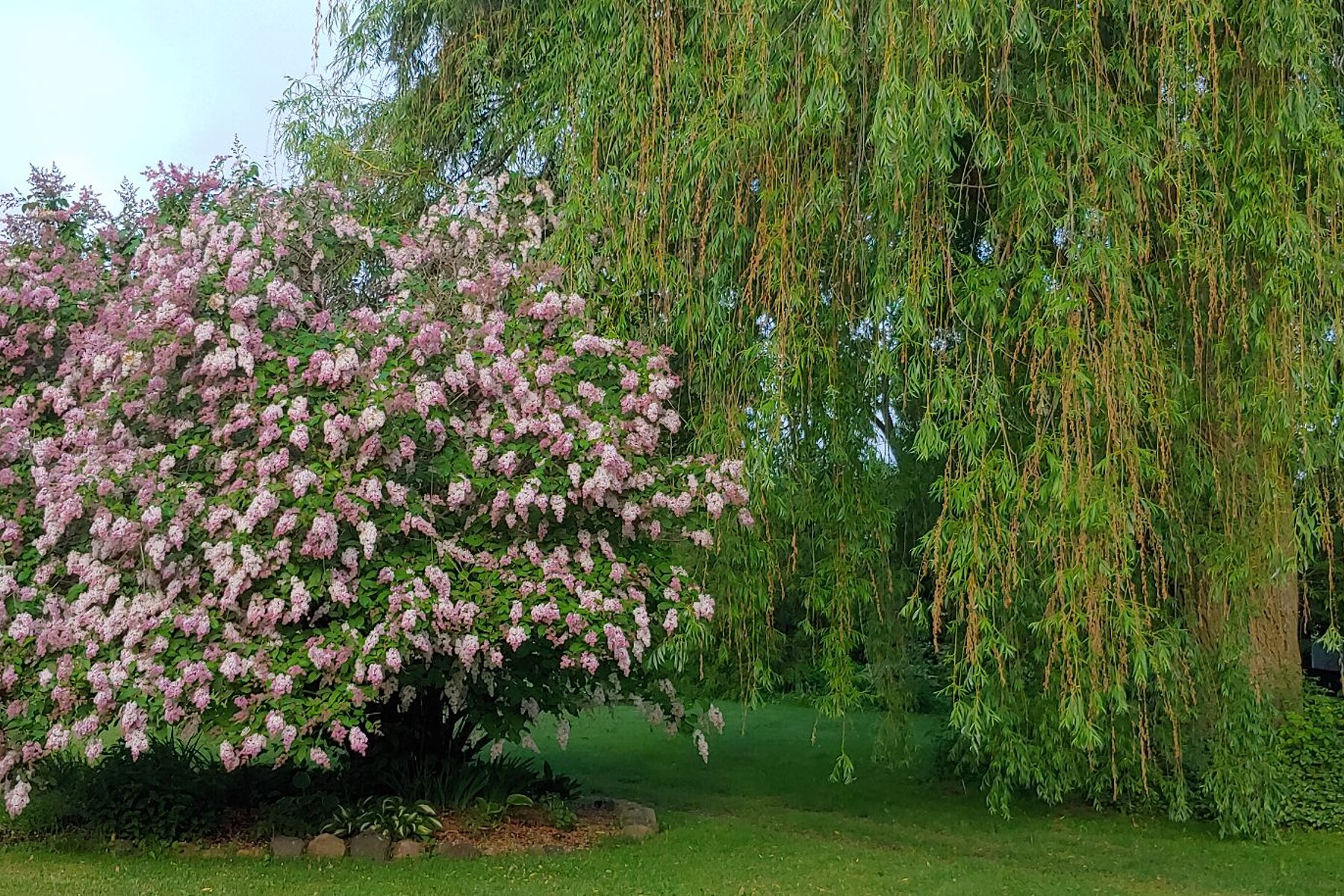  Saint-Jacques, Lanaudière - 物件實景