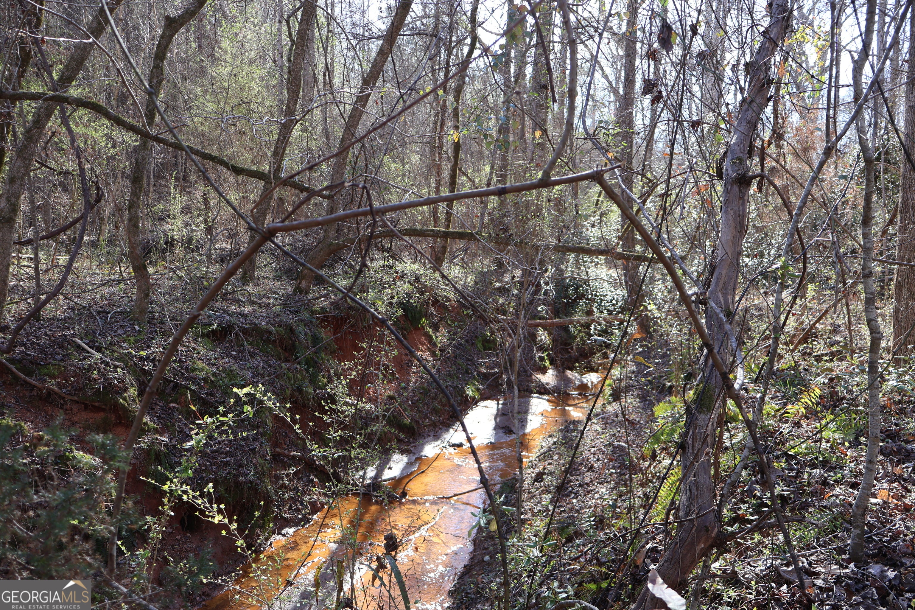 Forsyth, Georgia, 31029, United States, ,Land,For Sale,1858913