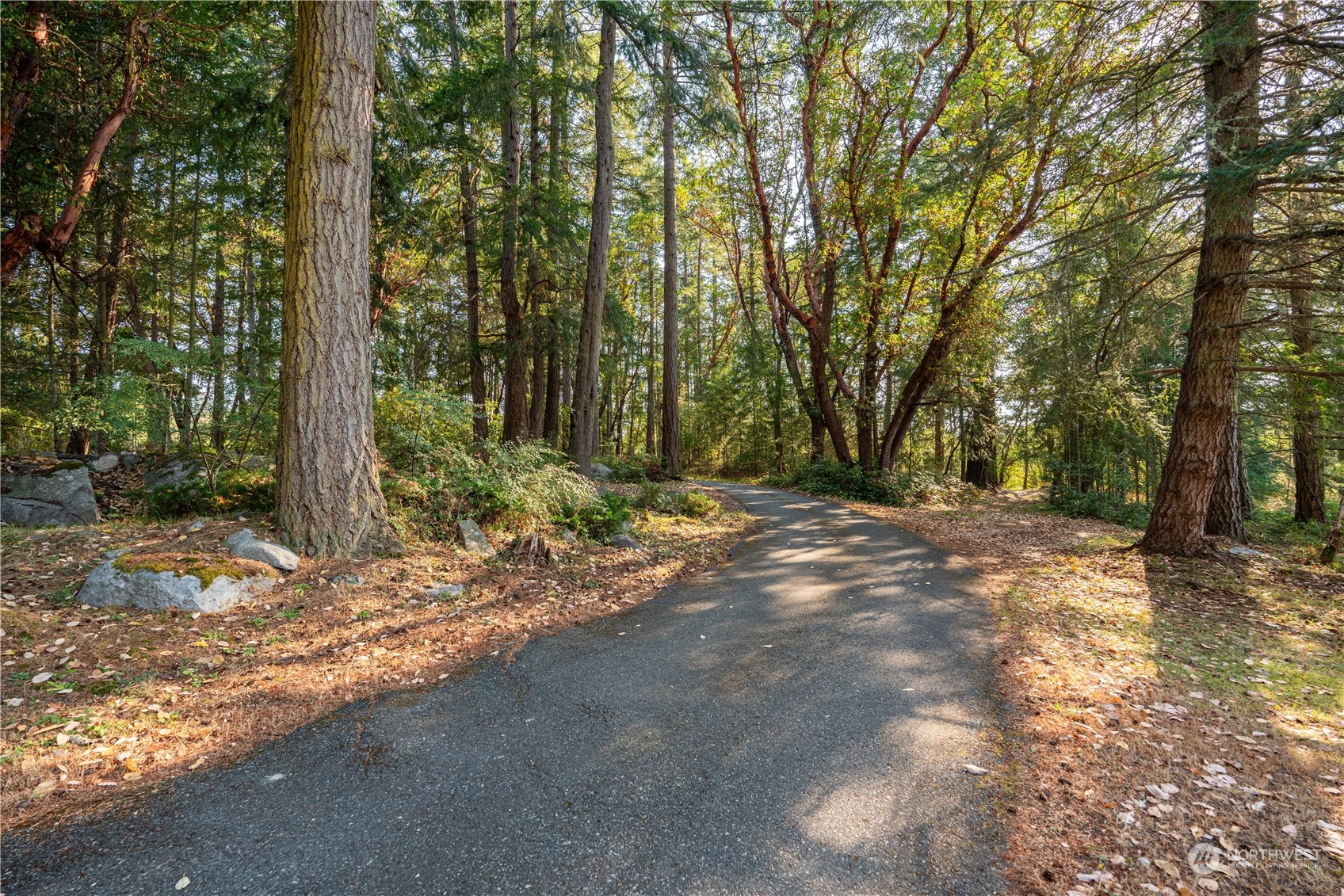 Friday Harbor, Washington, 98250, United States, 3 Bedrooms Bedrooms, ,1 BathroomBathrooms,Residential,For Sale,1866576
