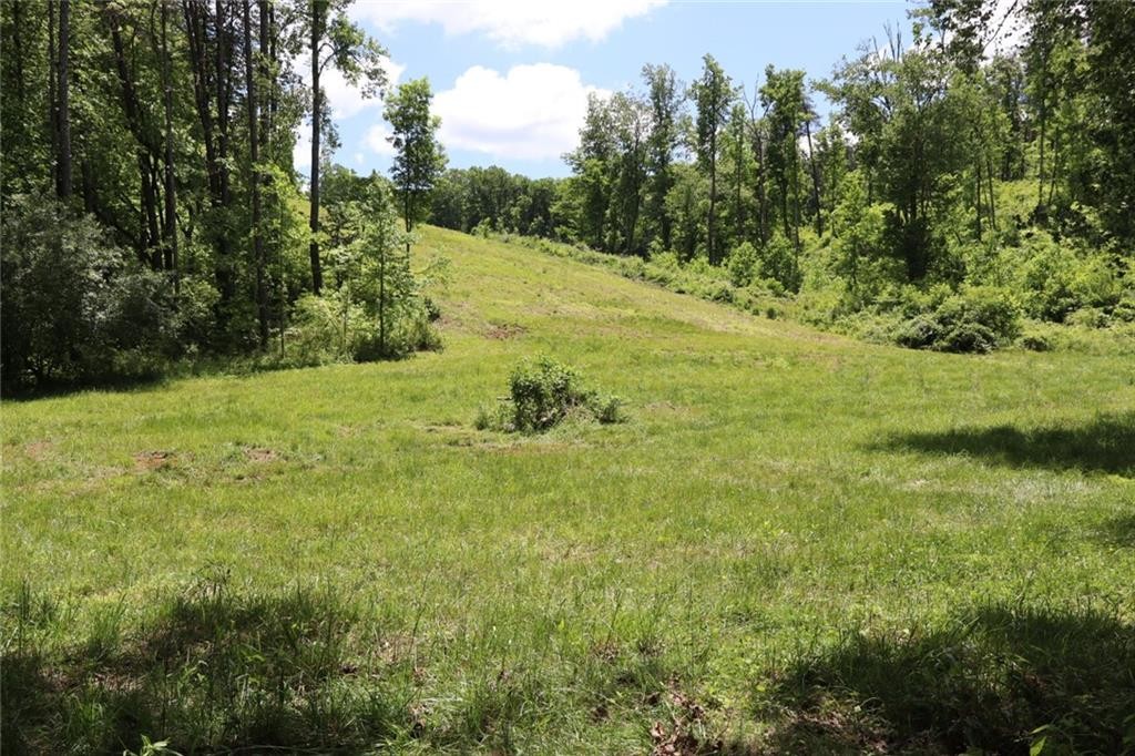 Ellijay, Georgia, 30540, United States, ,Residential,For Sale,1881390