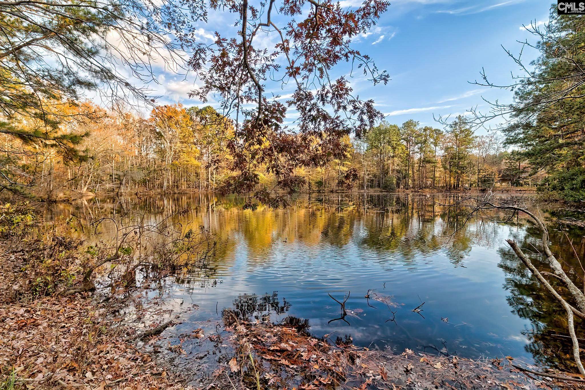 Chapin, South Carolina, 29036, United States, 4 Bedrooms Bedrooms, ,3 BathroomsBathrooms,Residential,For Sale,1999550