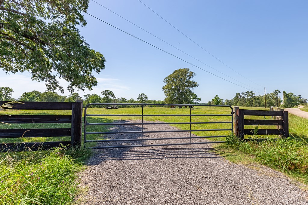 Pollok, Texas, 75969, United States, ,Residential,For Sale,1928088