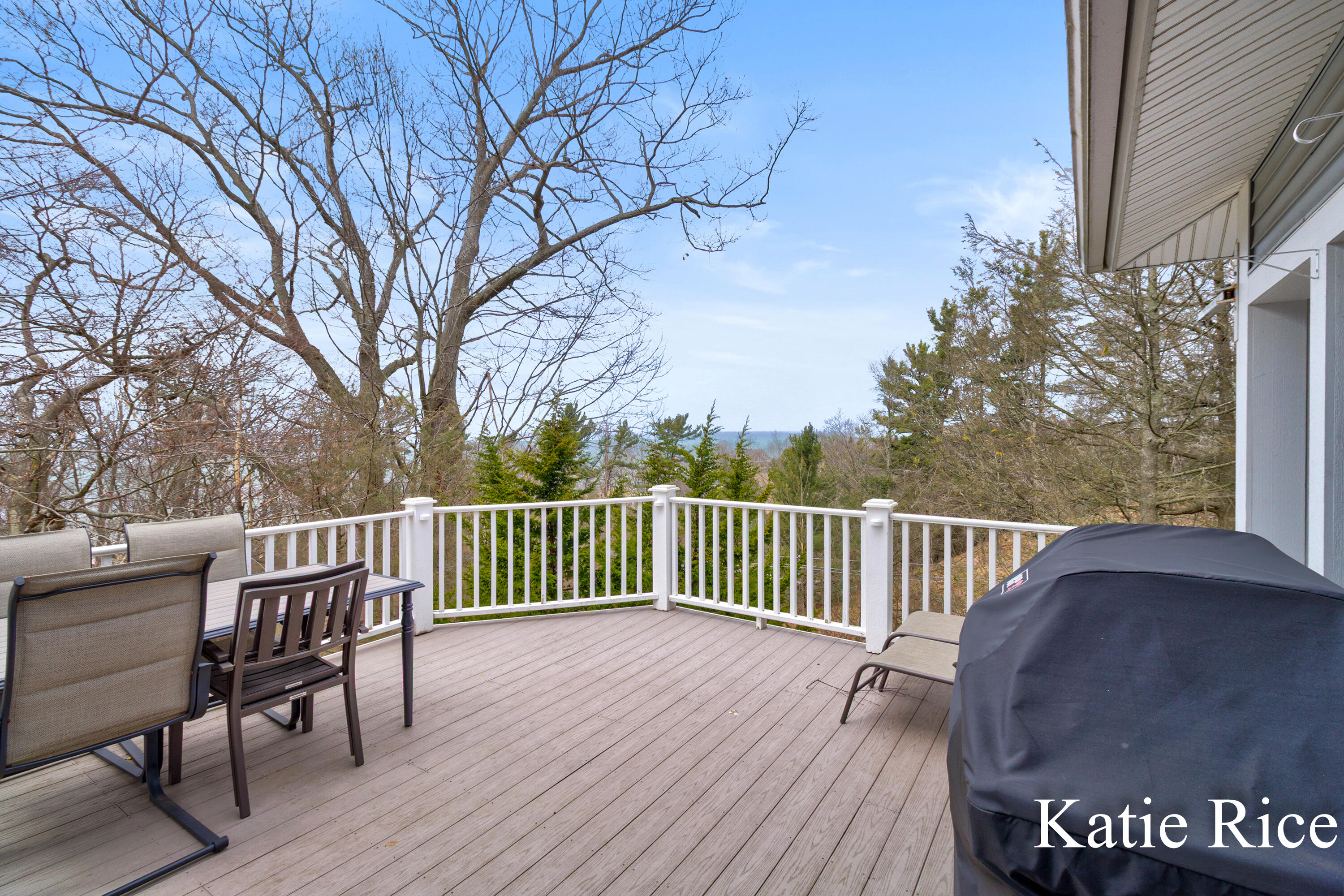 Whitehall, Michigan, 49461, United States, 4 Bedrooms Bedrooms, ,4 BathroomsBathrooms,Residential,For Sale,1779471