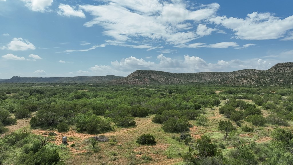 Tennyson, Texas, 76953, United States, ,Land,For Sale,1982007