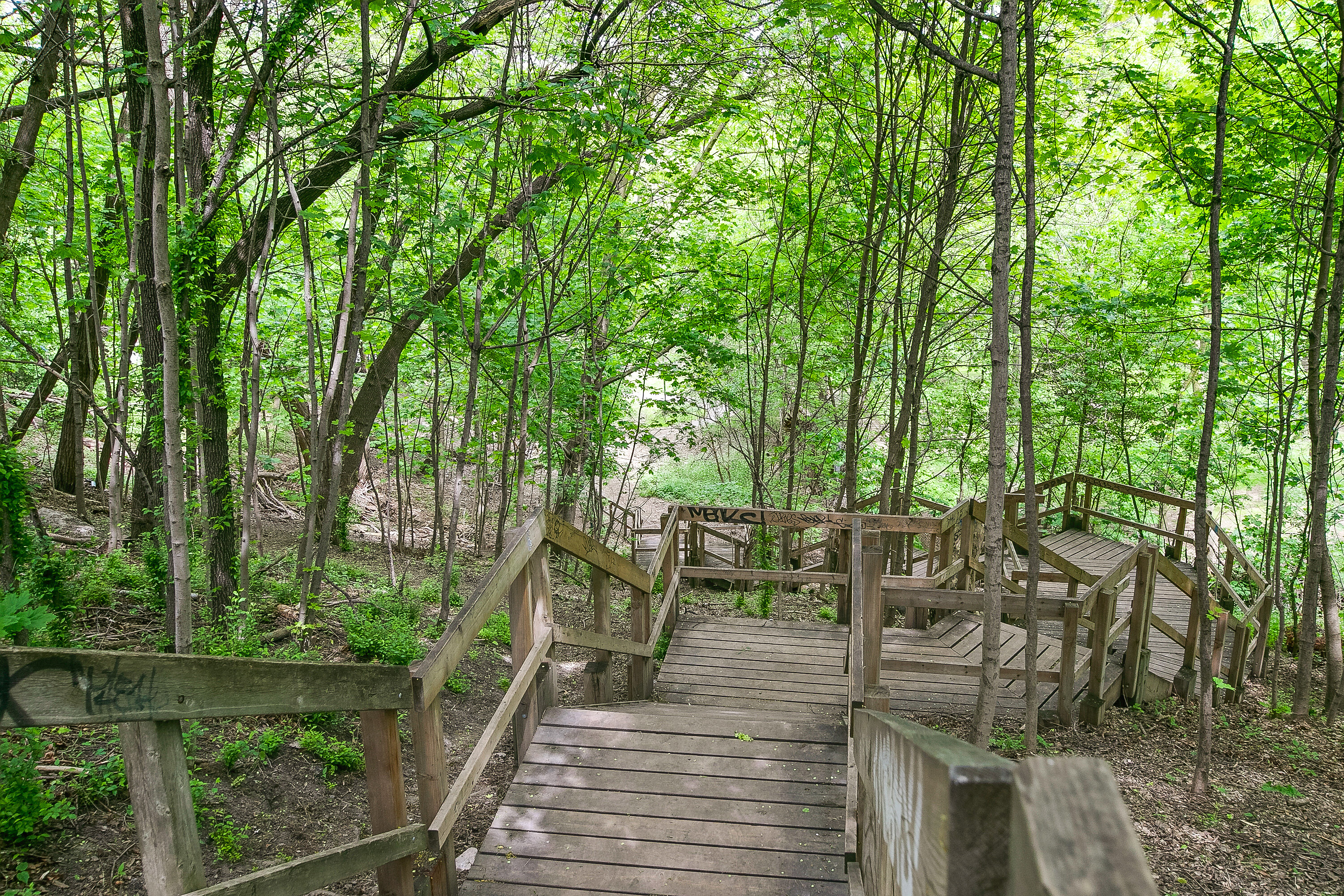  Toronto, Greater Toronto Area - 物件實景