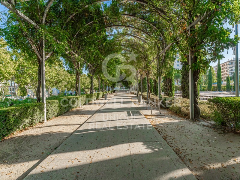 Madrid Capital, Comunidad de Madrid, ES, 5 Bedrooms Bedrooms, ,6 BathroomsBathrooms,Residential,For Sale,1752010