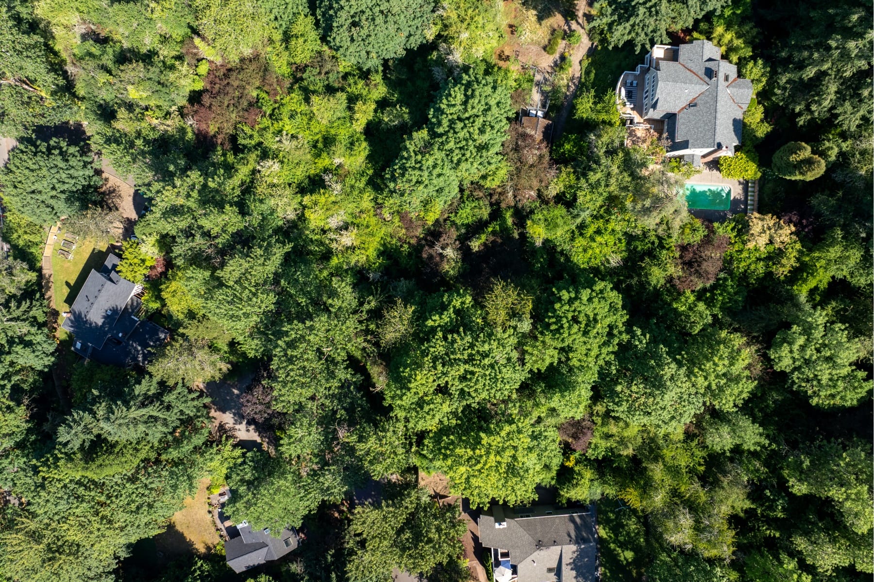  S POWERS CT Portland, OR 97219 - 物件實景