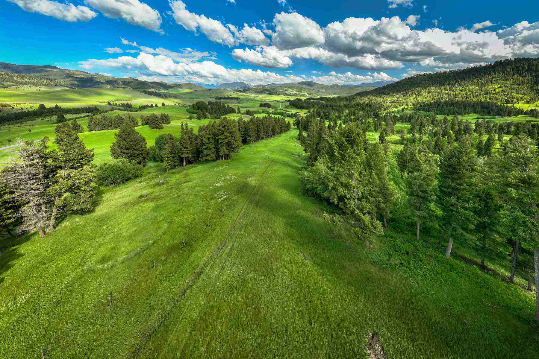  Ranch 12 North Pass Ranches - 物件實景