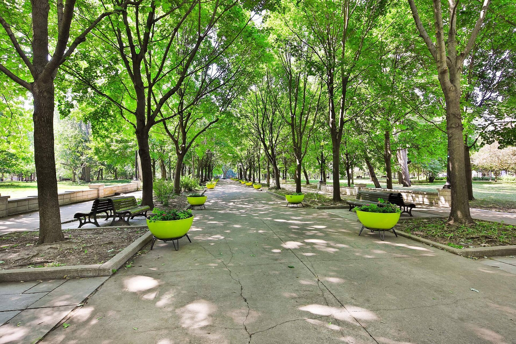  Le Plateau-Mont-Royal, Montréal - 物件實景