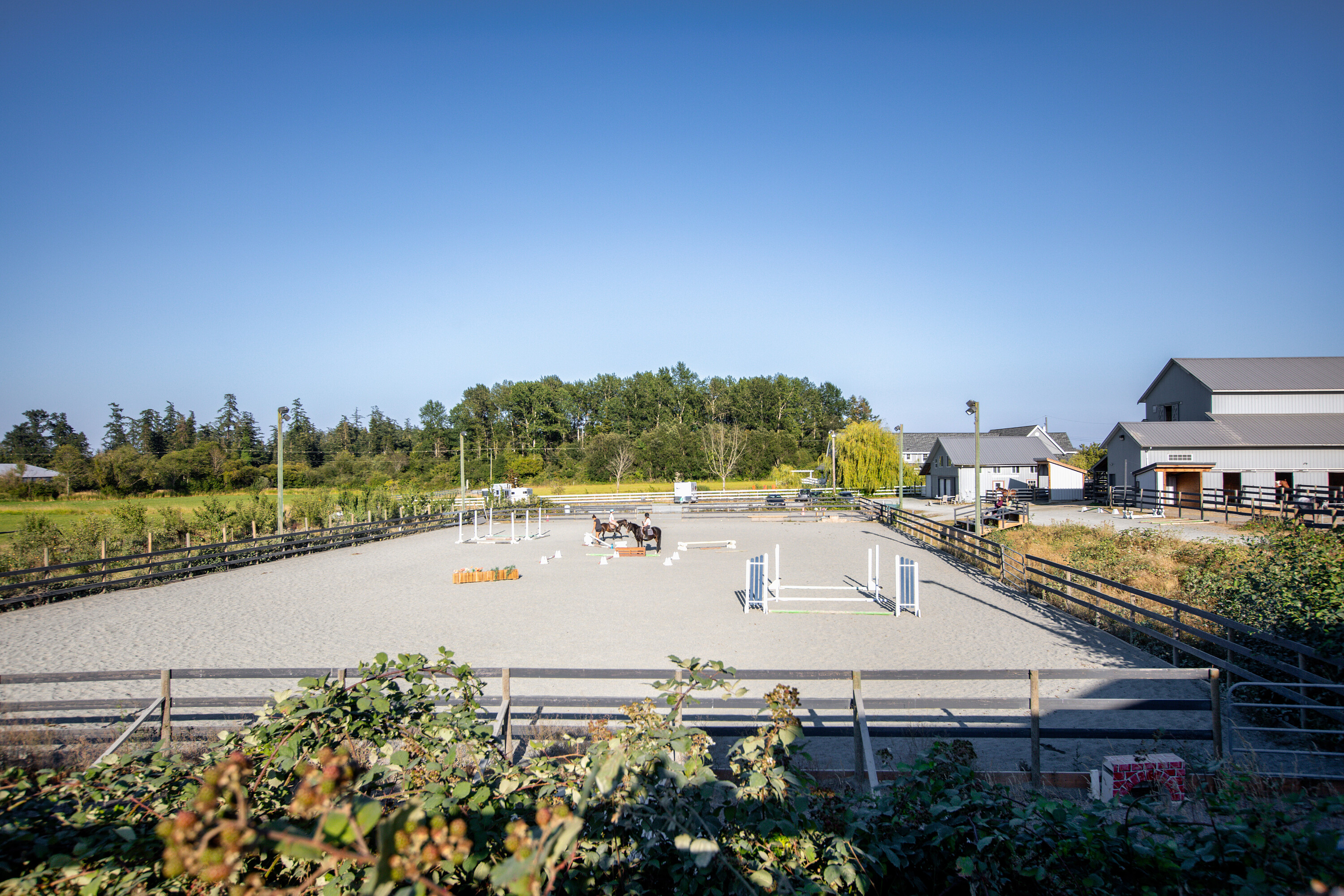  Exquisite Equestrian Estate - 物件實景
