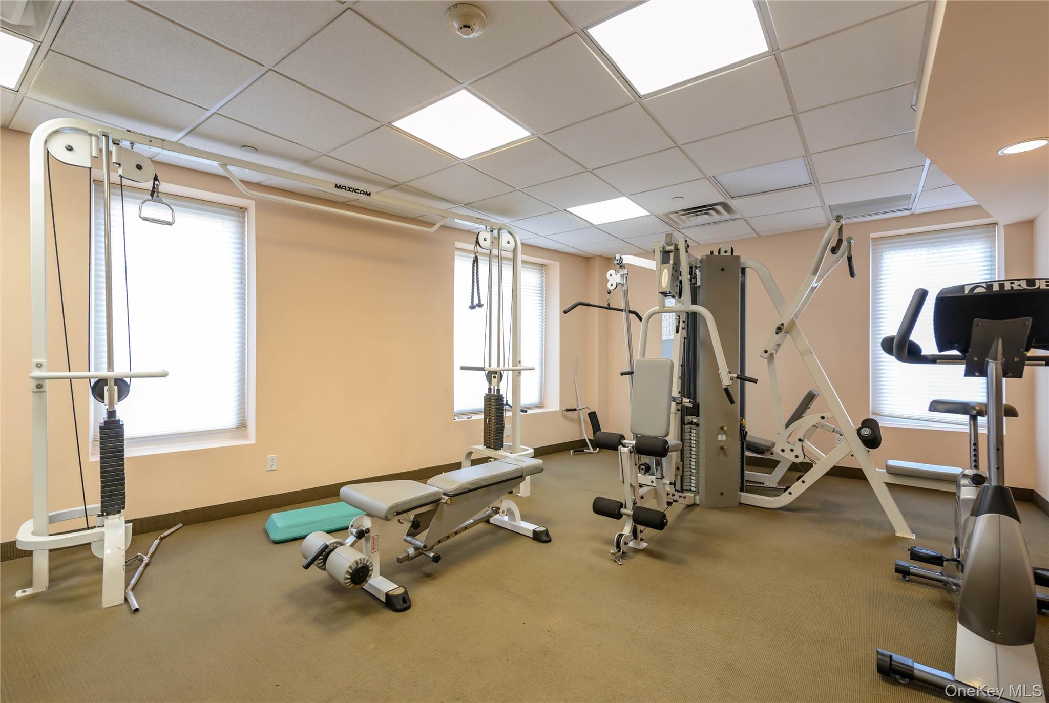  242 Maple Avenue, Westbury, NY, 11590 - 物件實景