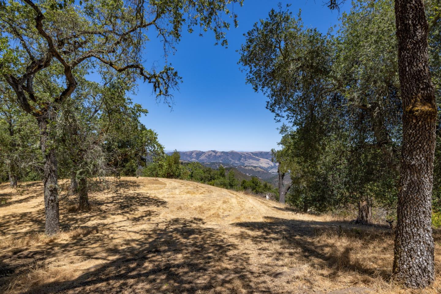 9 Long Ridge Trl, Carmel, California, 93923, United States, ,Land,For Sale,9 Long Ridge Trl,1663124