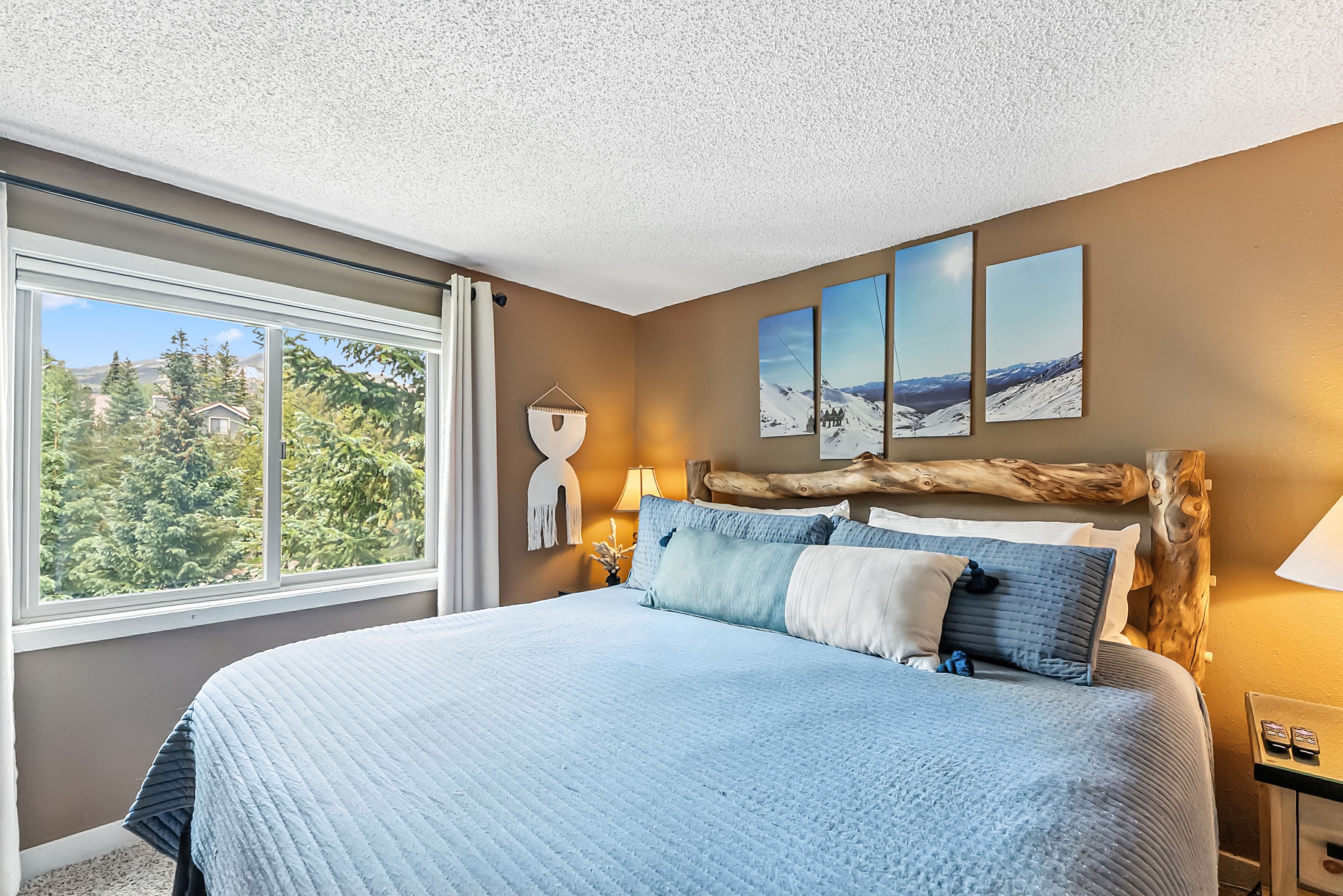  550 S French Street,Breckenridge, CO, 80424 - 物件實景