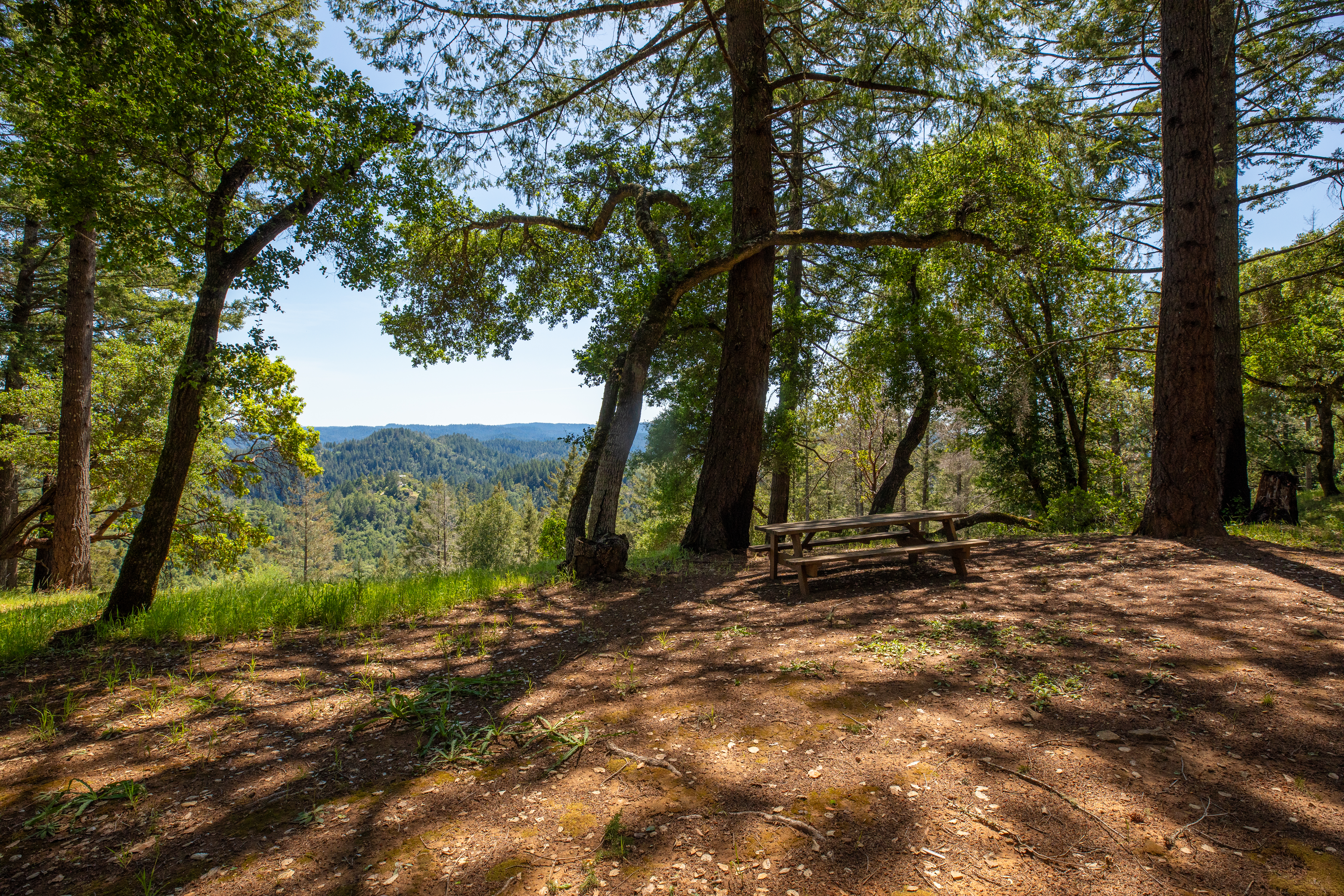  18900 Armstrong Woods Road, Guerneville, CA 95446 - 物件實景