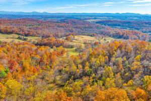 Fincastle, Virginia, 24090, United States, ,Residential,For Sale,1989448