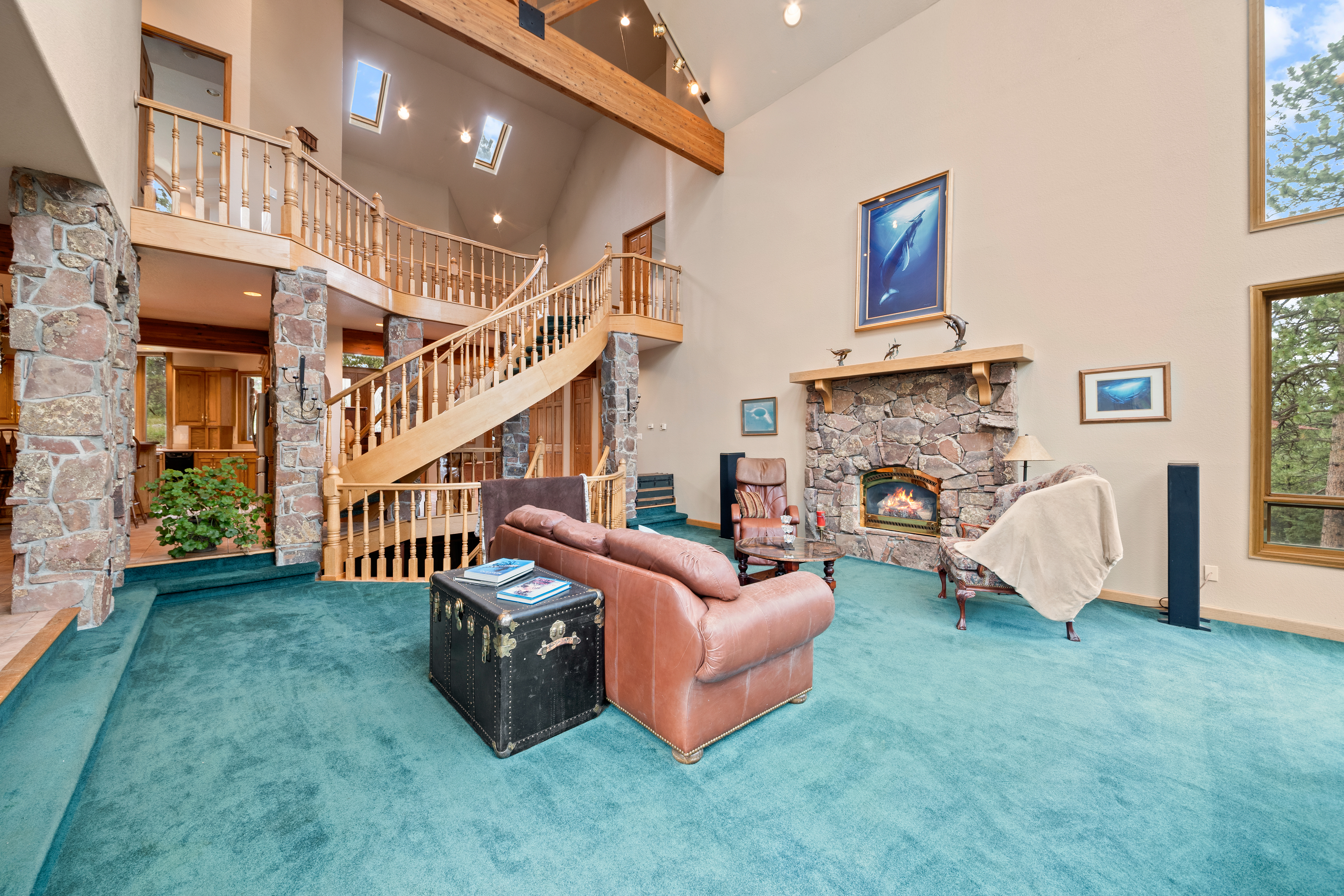  Perfect Blend of Space and Colorado Living That Backs to Pike National Forest - 物件實景