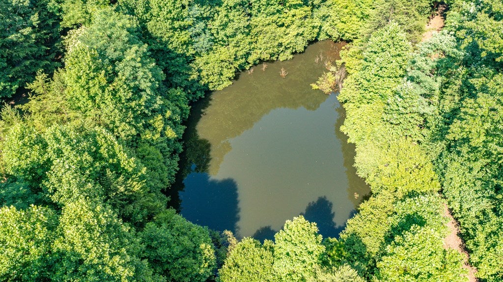 Cherry Log, Georgia, 30522, United States, ,Land,For Sale,1858995