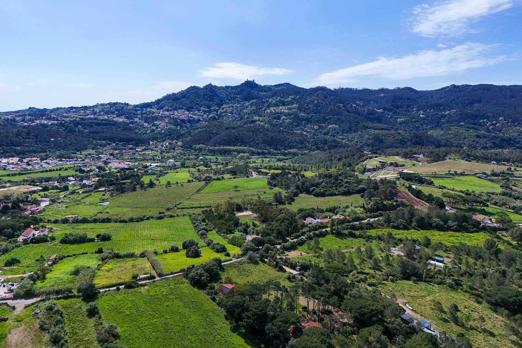  Detached house, 4 bedrooms, for Sale - 物件實景