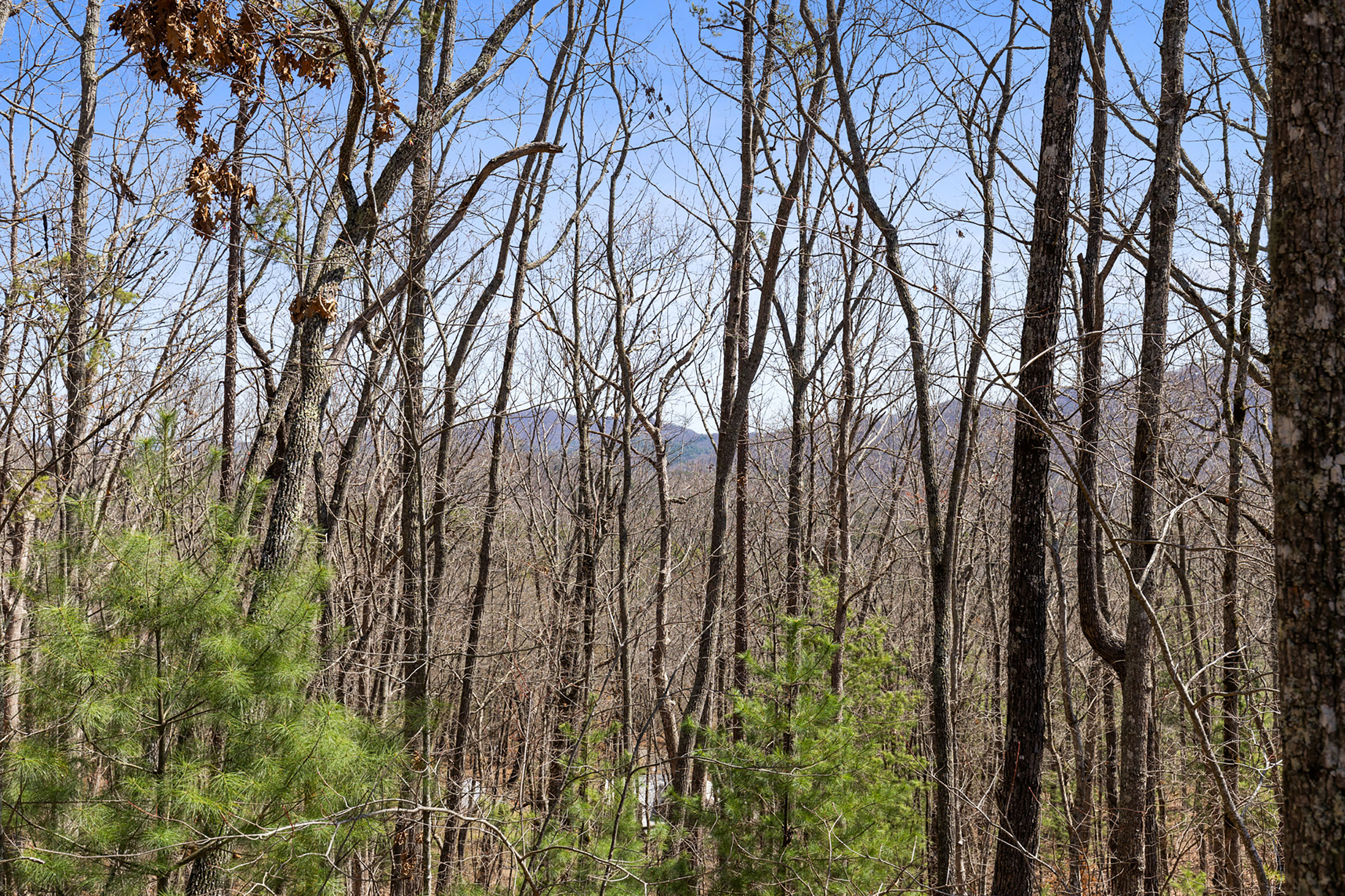  Stunning 1.56 Acre Lot in Hyde Creek - 物件實景
