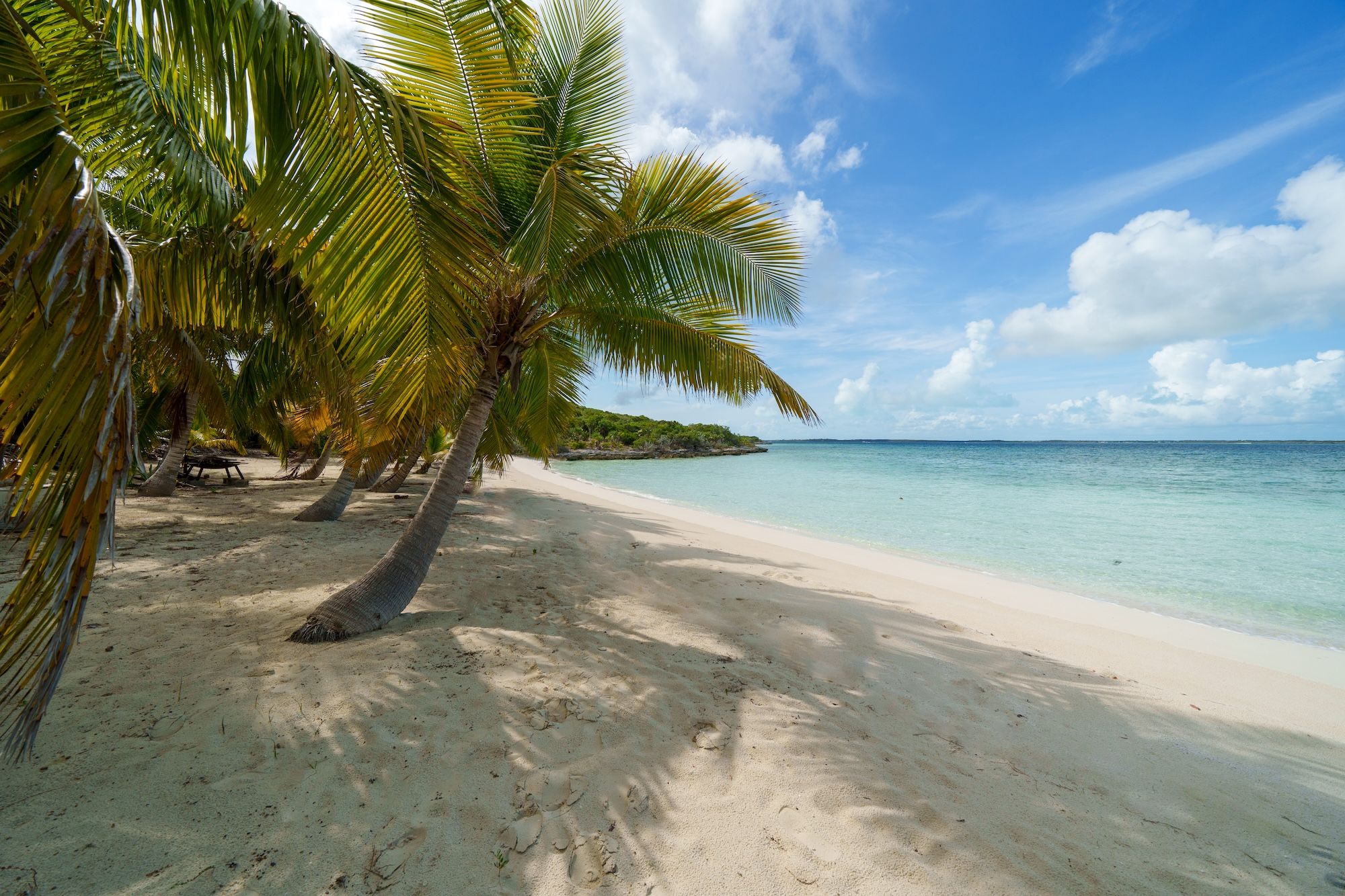  25.38 Acres Elizabeth Island - 物件實景