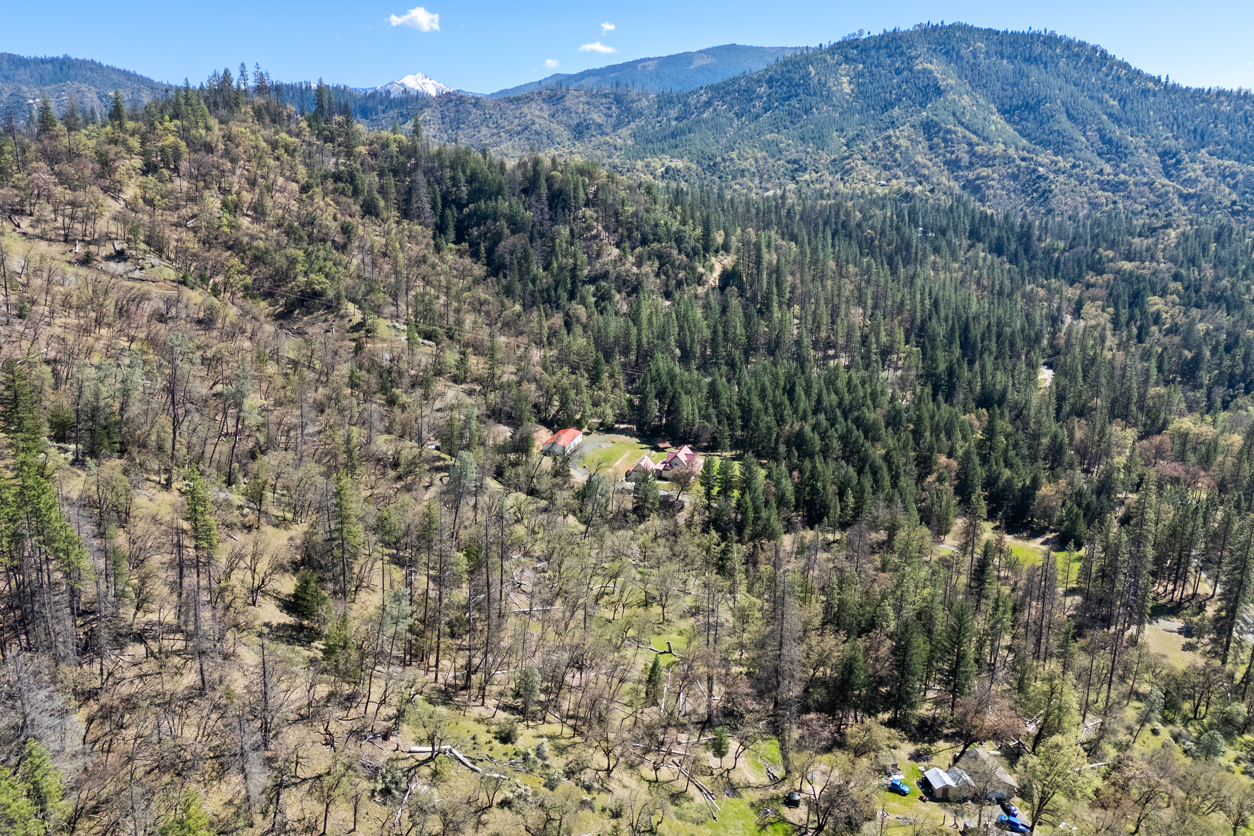  2995 Goose Ranch Road, Lewiston, CA 96052 - 物件實景