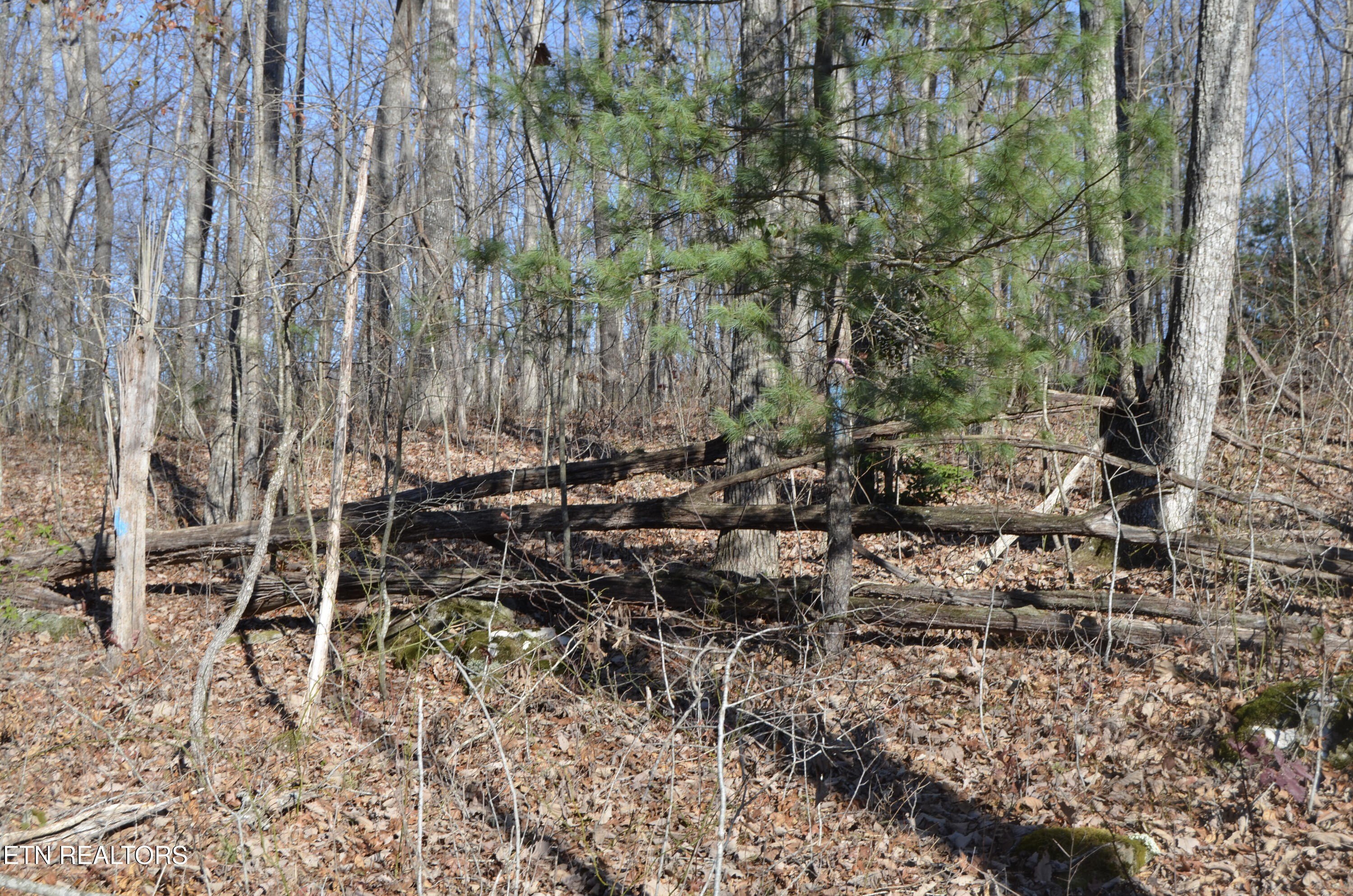 Crossville, Tennessee, 38555, United States, ,Land,For Sale,1978266