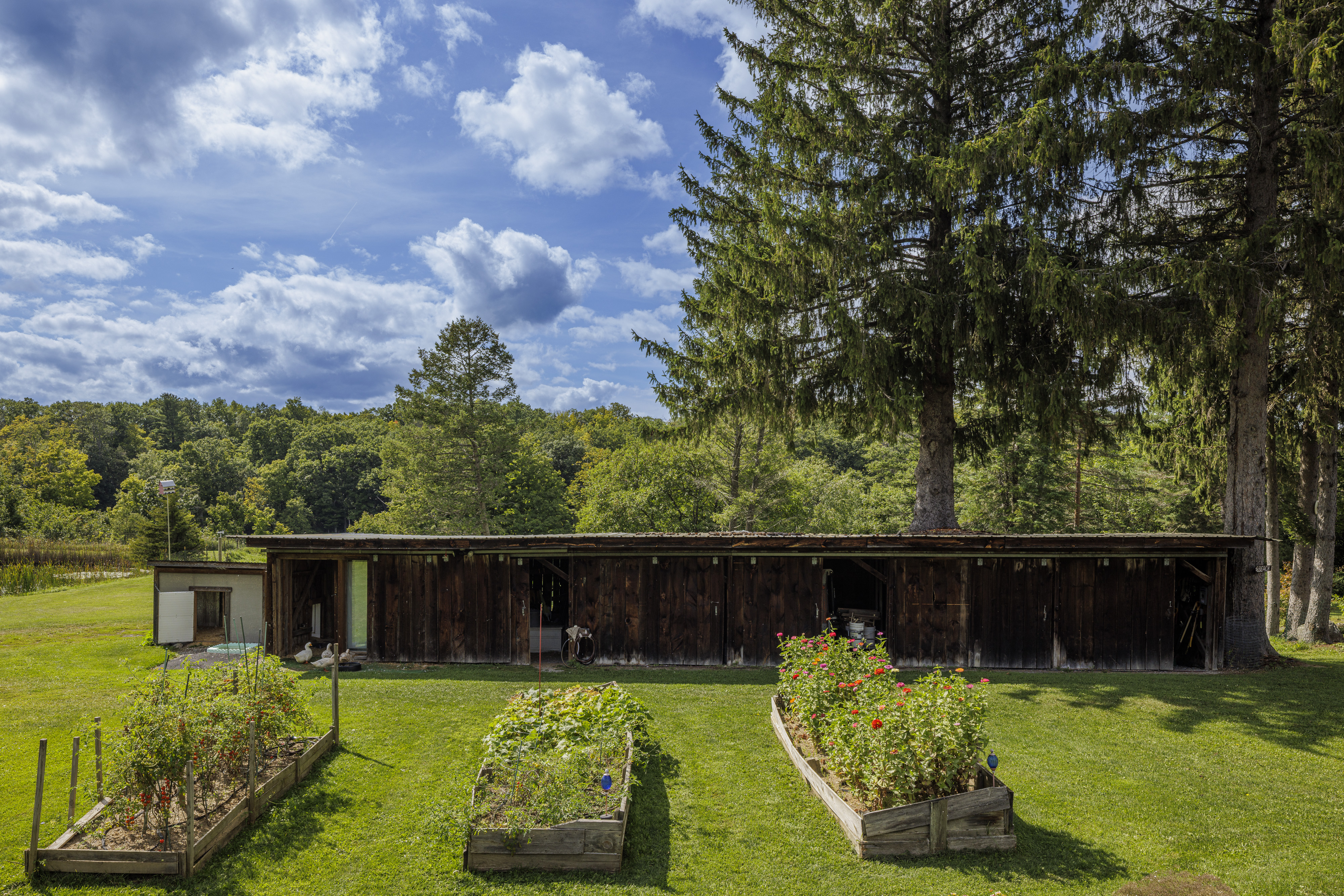  351 Warners Lake Road, East Berne, NY 12059 - 物件實景