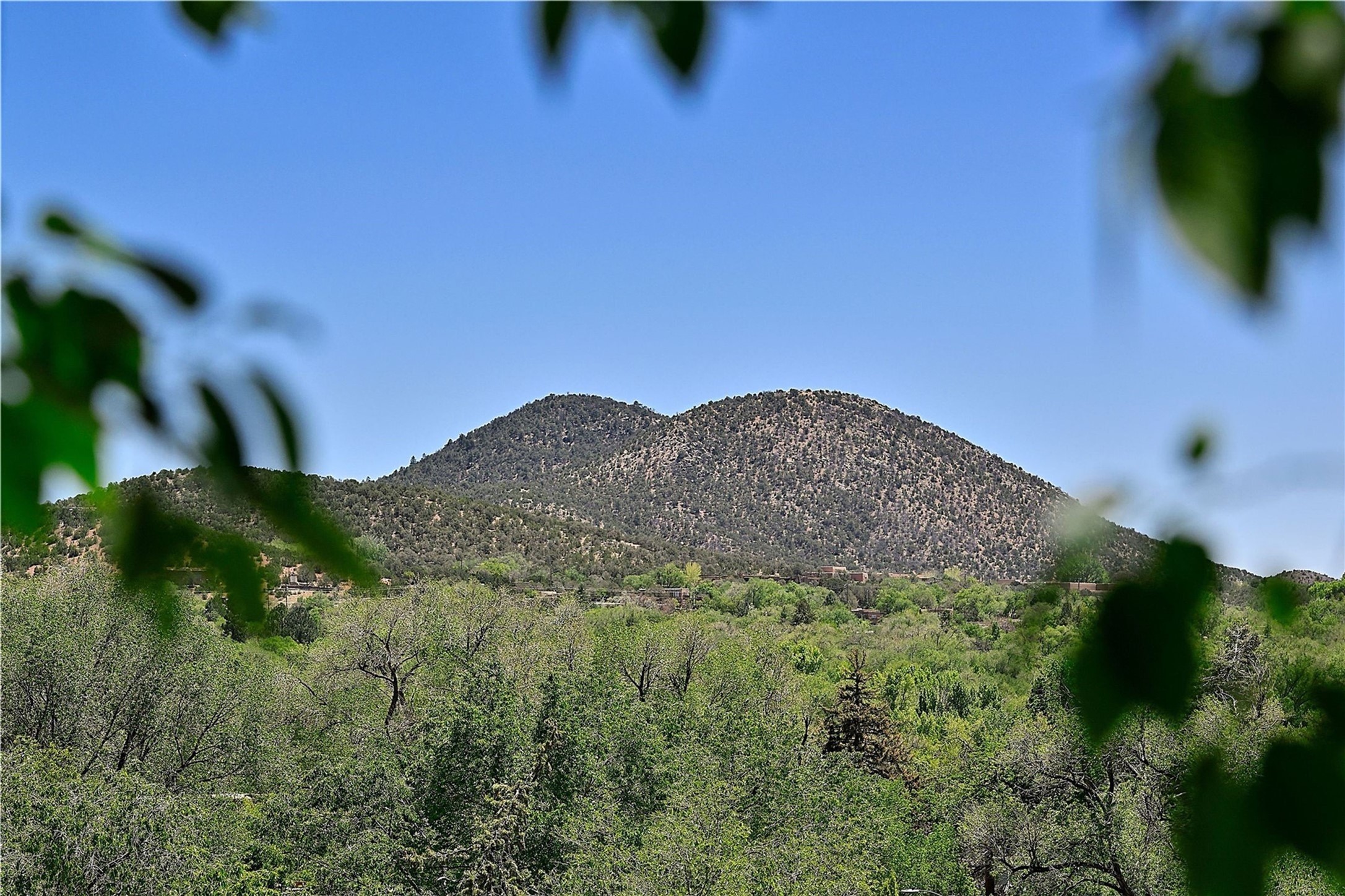  227 Rodriguez - 物件實景