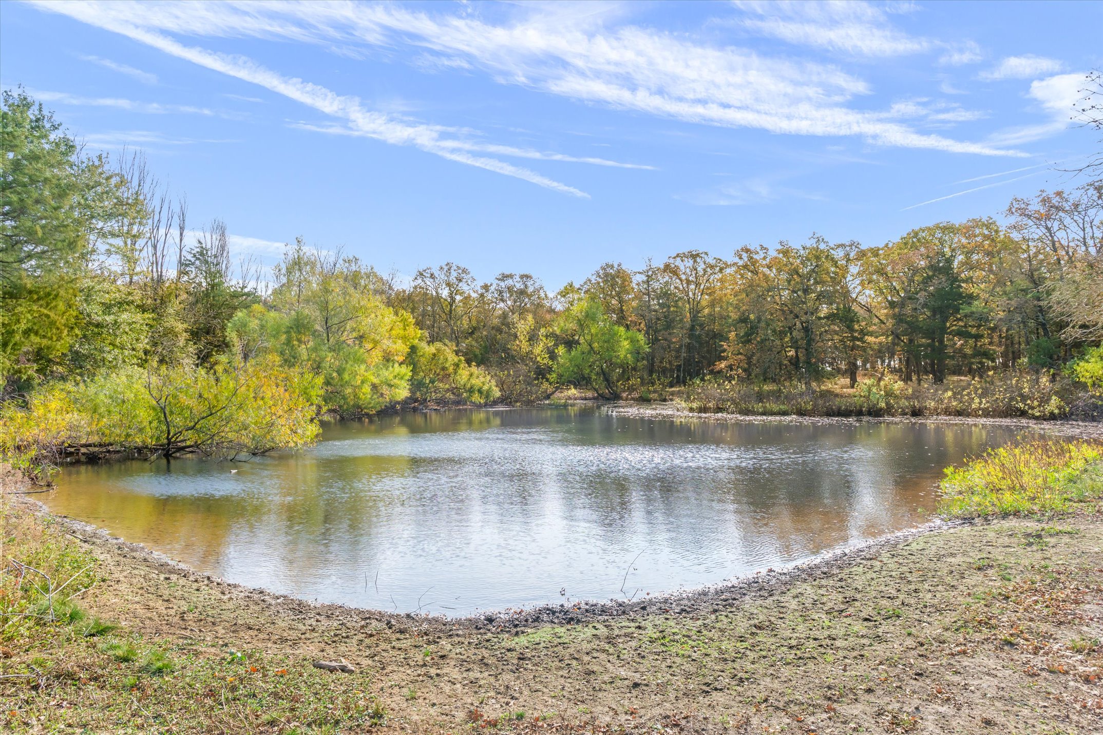 Wills Point, Texas, 75169, United States, 4 Bedrooms Bedrooms, ,4 BathroomsBathrooms,Residential,For Sale,1996475