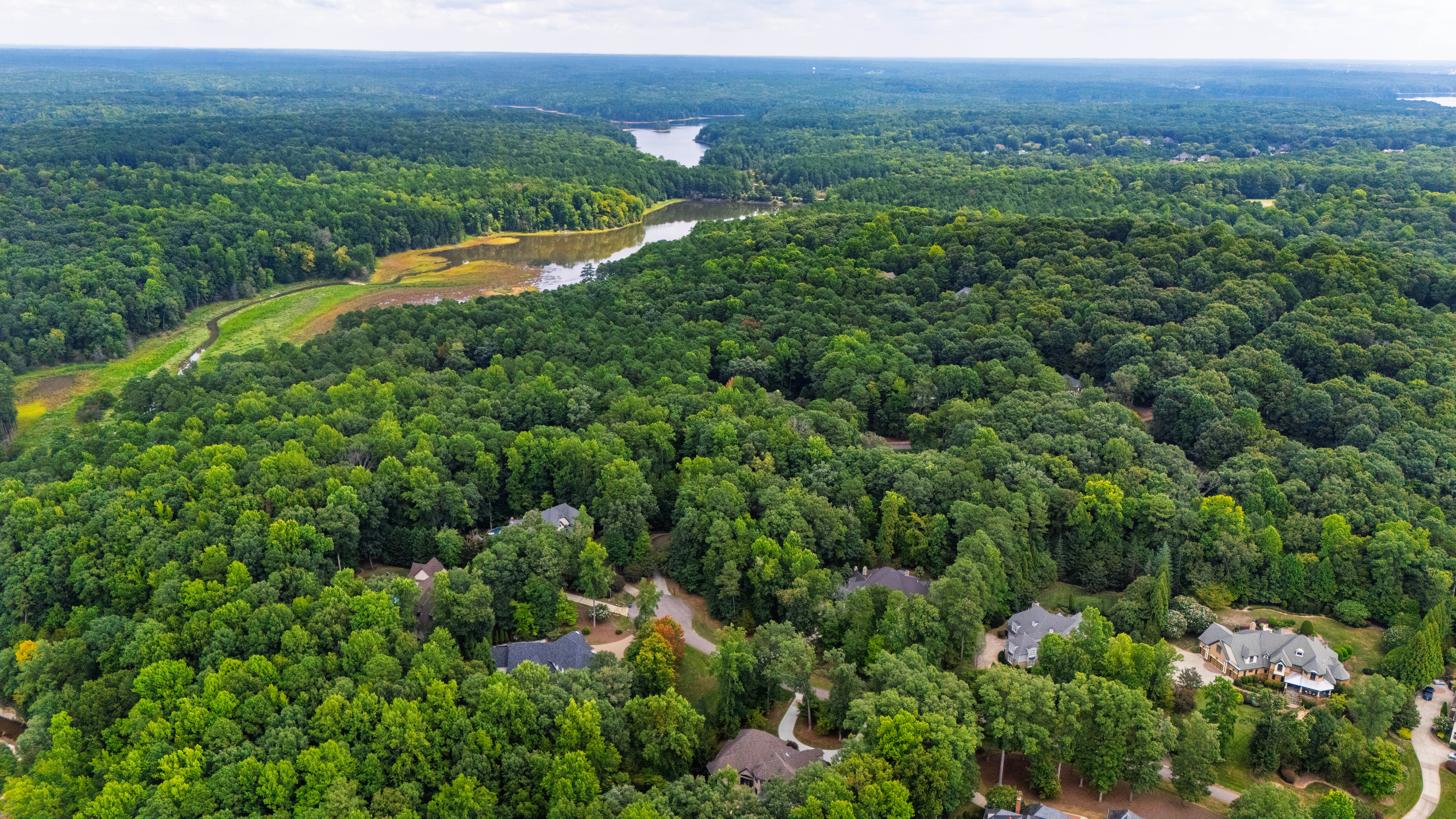  6025 Over Hadden Court, Raleigh, NC 27614 - 物件實景