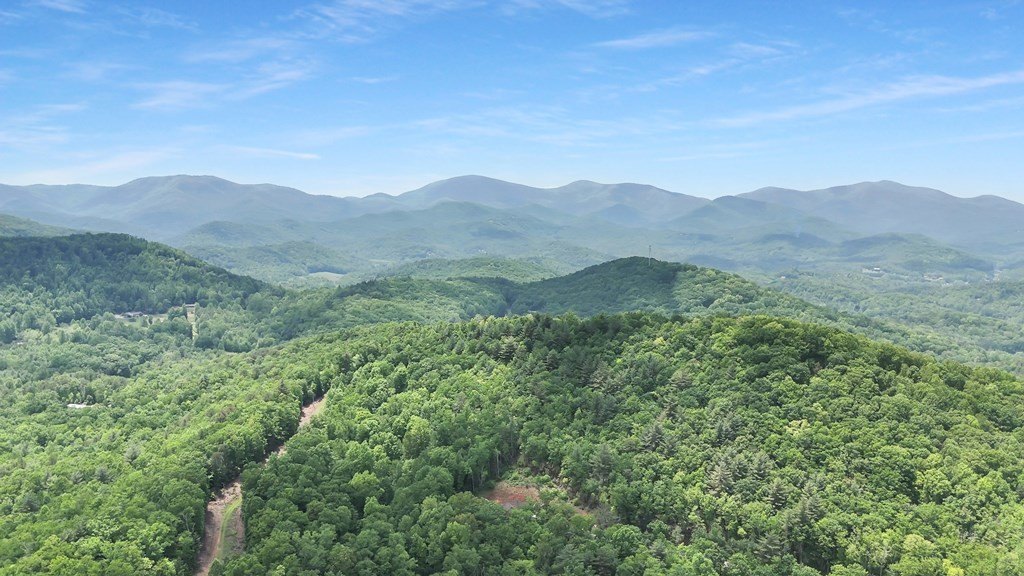 Blairsville, Georgia, 30512, United States, ,Residential,For Sale,1824066