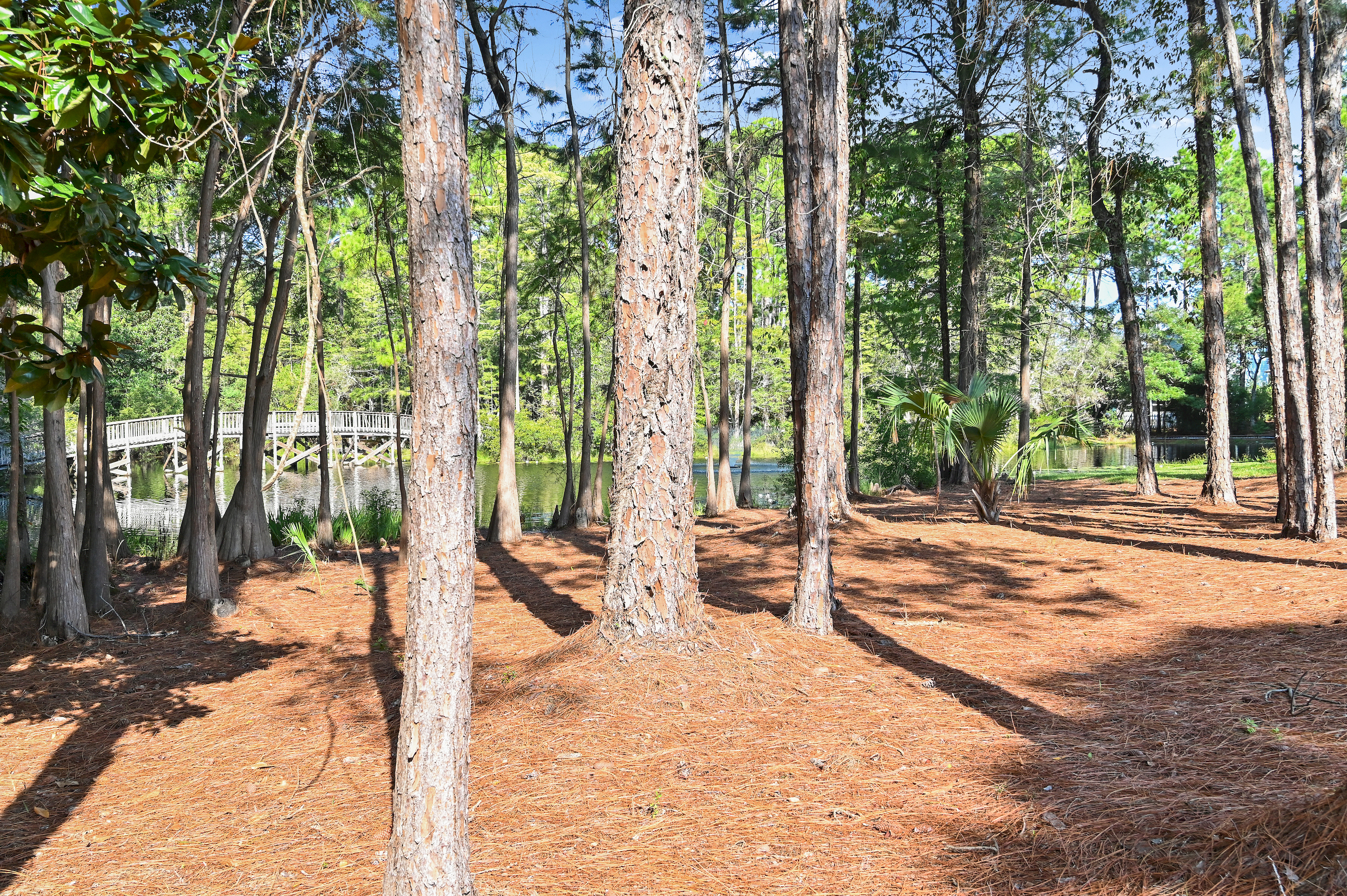  Charming Seagrove Beach Cottage Surrounded by Nature - 物件實景