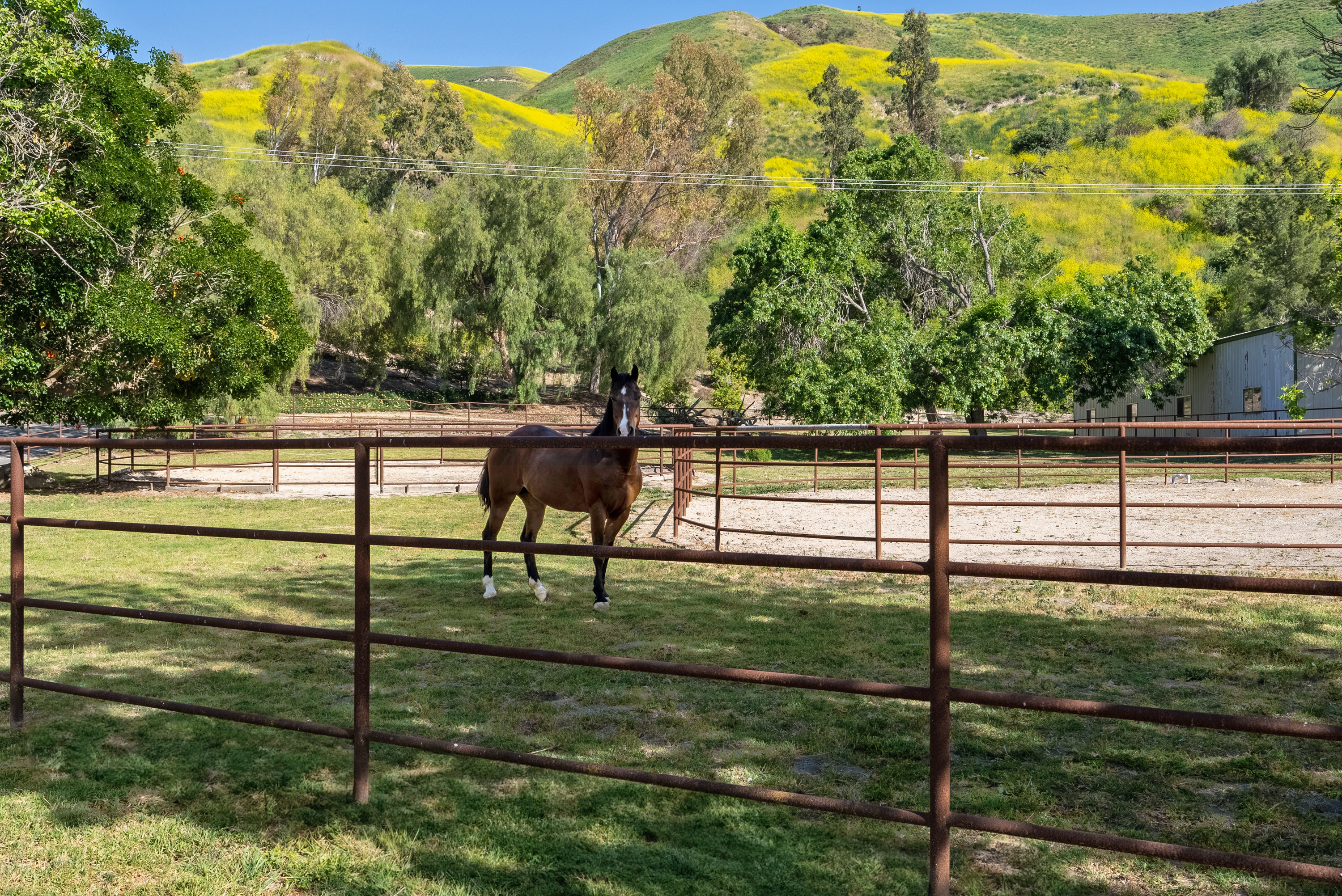  15454 S. Mountain Road - 物件實景