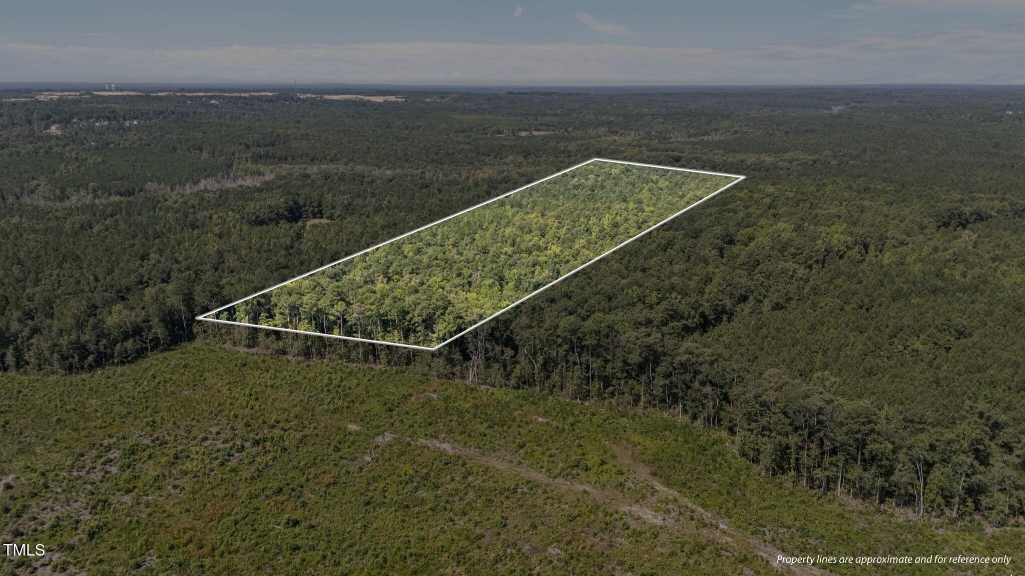 Cameron, North Carolina, 28326, United States, ,Land,For Sale,1980450