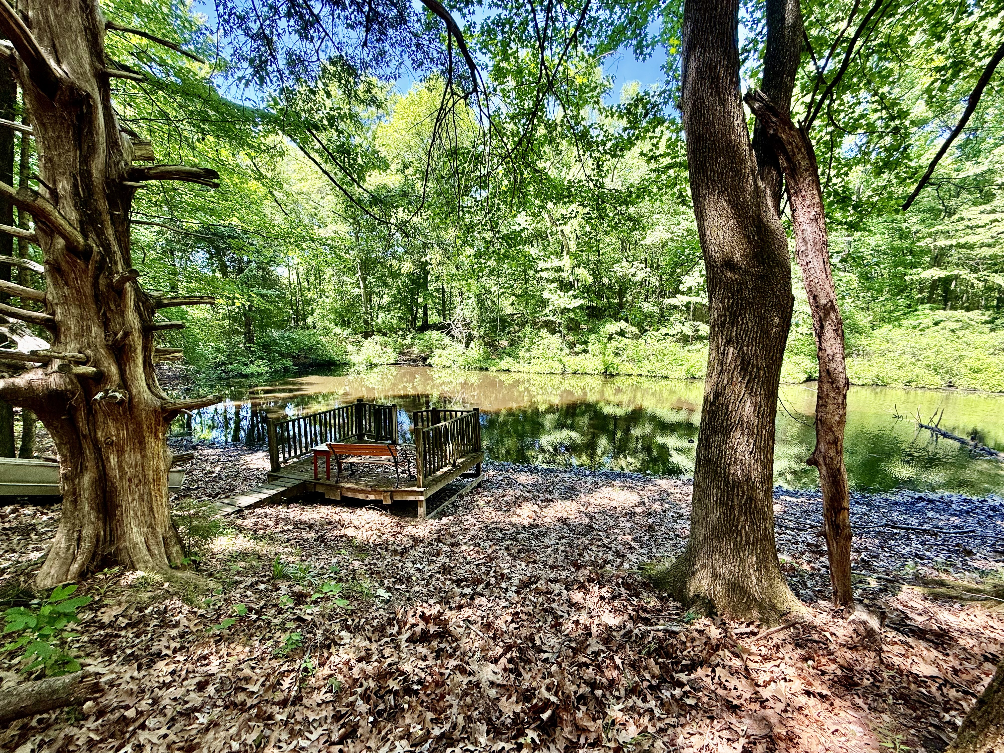 Rives, Tennessee, 38253, United States, 3 Bedrooms Bedrooms, ,2 BathroomsBathrooms,Residential,For Sale,2031987