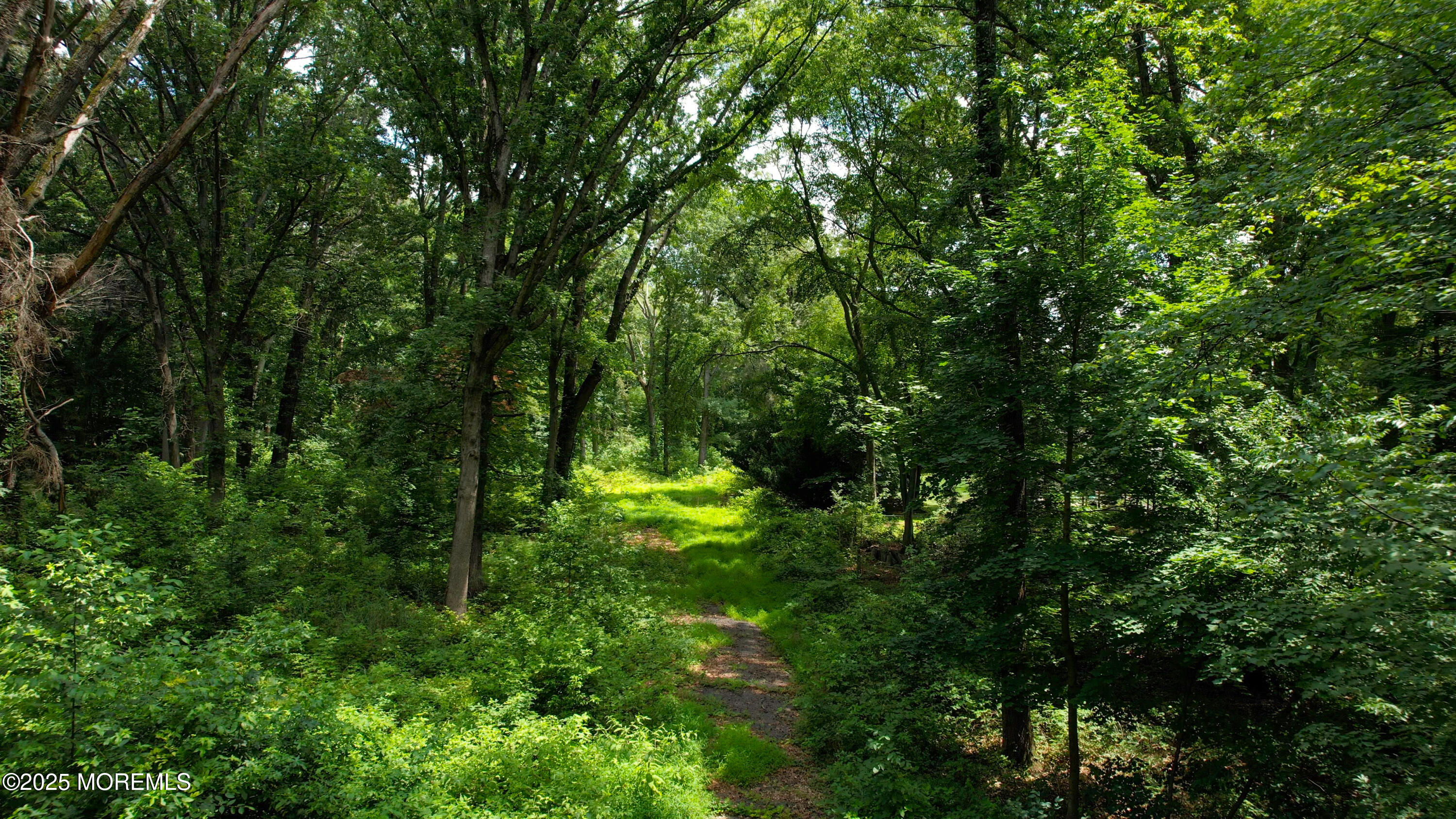 Monroe, New Jersey, 08831, United States, ,Land,For Sale,1932074