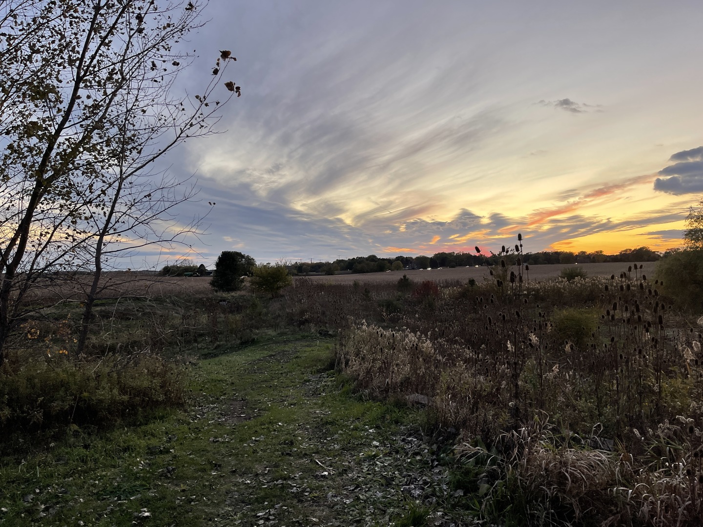 Mokena, Illinois, 60448, United States, ,Residential,For Sale,1869367