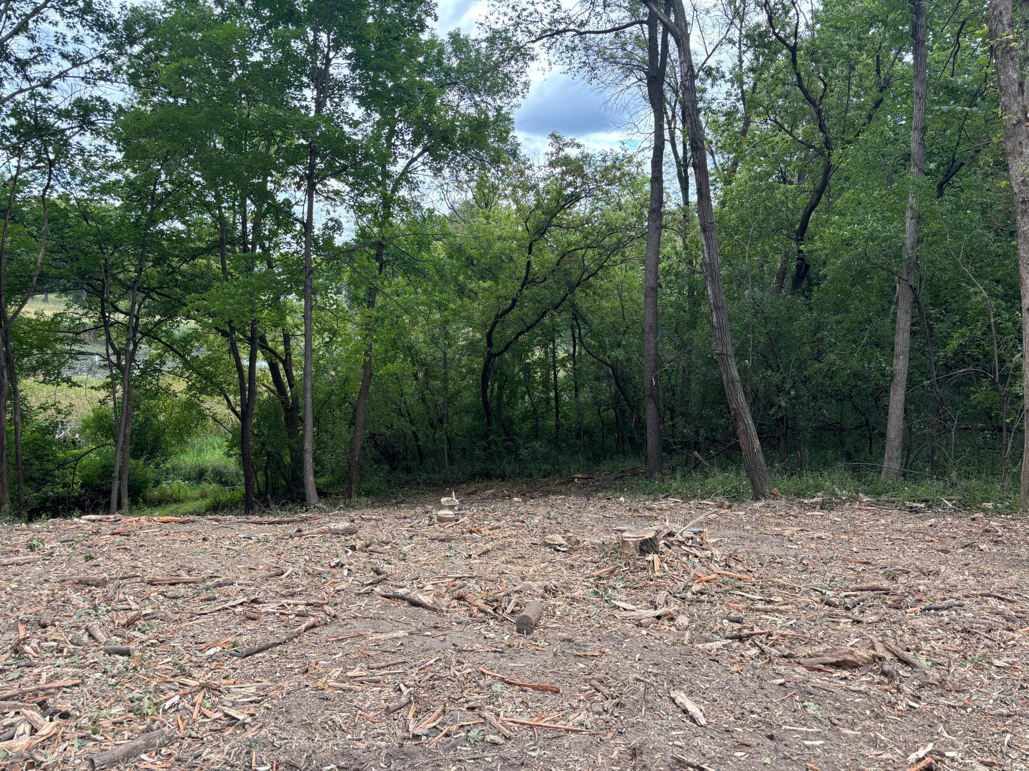 Chanhassen, Minnesota, 55317, United States, ,Land,For Sale,1994574