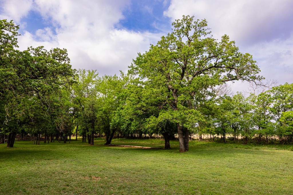 Fredericksburg, Texas, 78624, United States, 3 Bedrooms Bedrooms, ,2 BathroomsBathrooms,Residential,For Sale,1977273