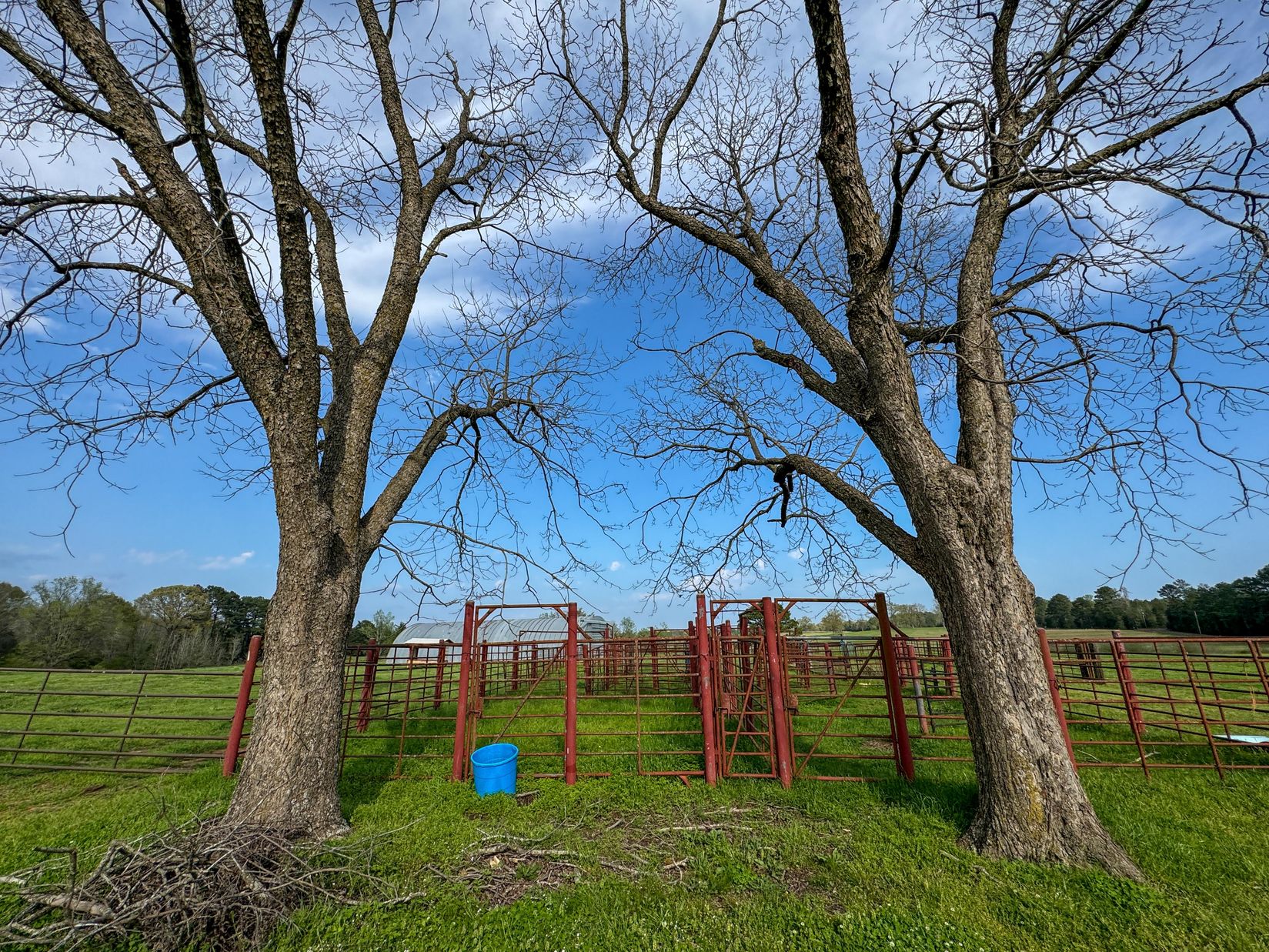 Bivins, Texas, 75555, United States, ,Residential,For Sale,1755933