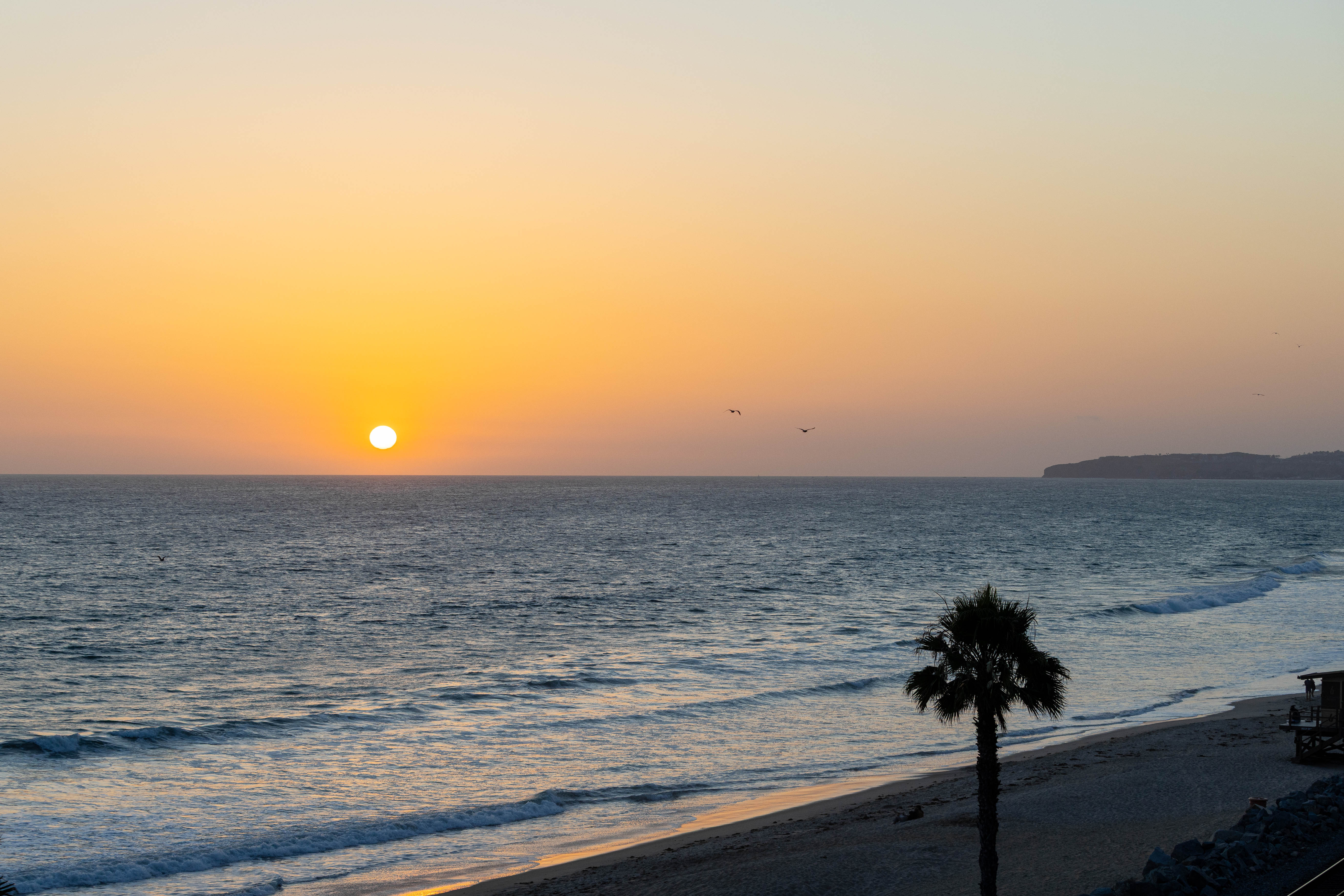  423 Avenida Granada #2, San Clemente, CA 92672 - 物件實景