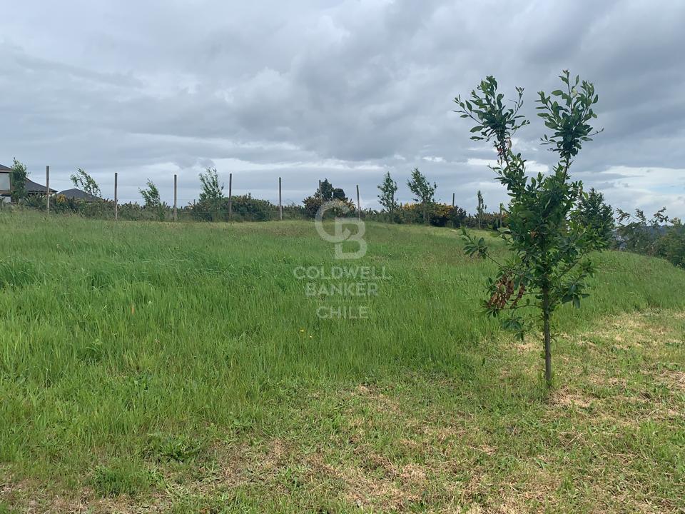 Puerto Varas, Chile, ,Residential,For Sale,1960481