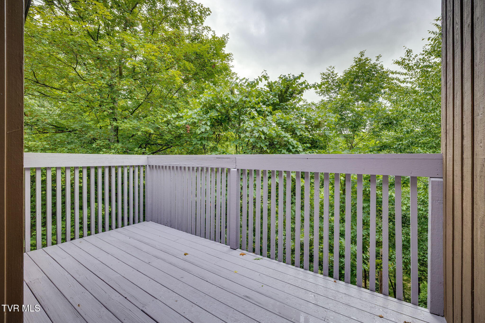 Kingsport, Tennessee, 37663, United States, 5 Bedrooms Bedrooms, ,3 BathroomsBathrooms,Residential,For Sale,1878184