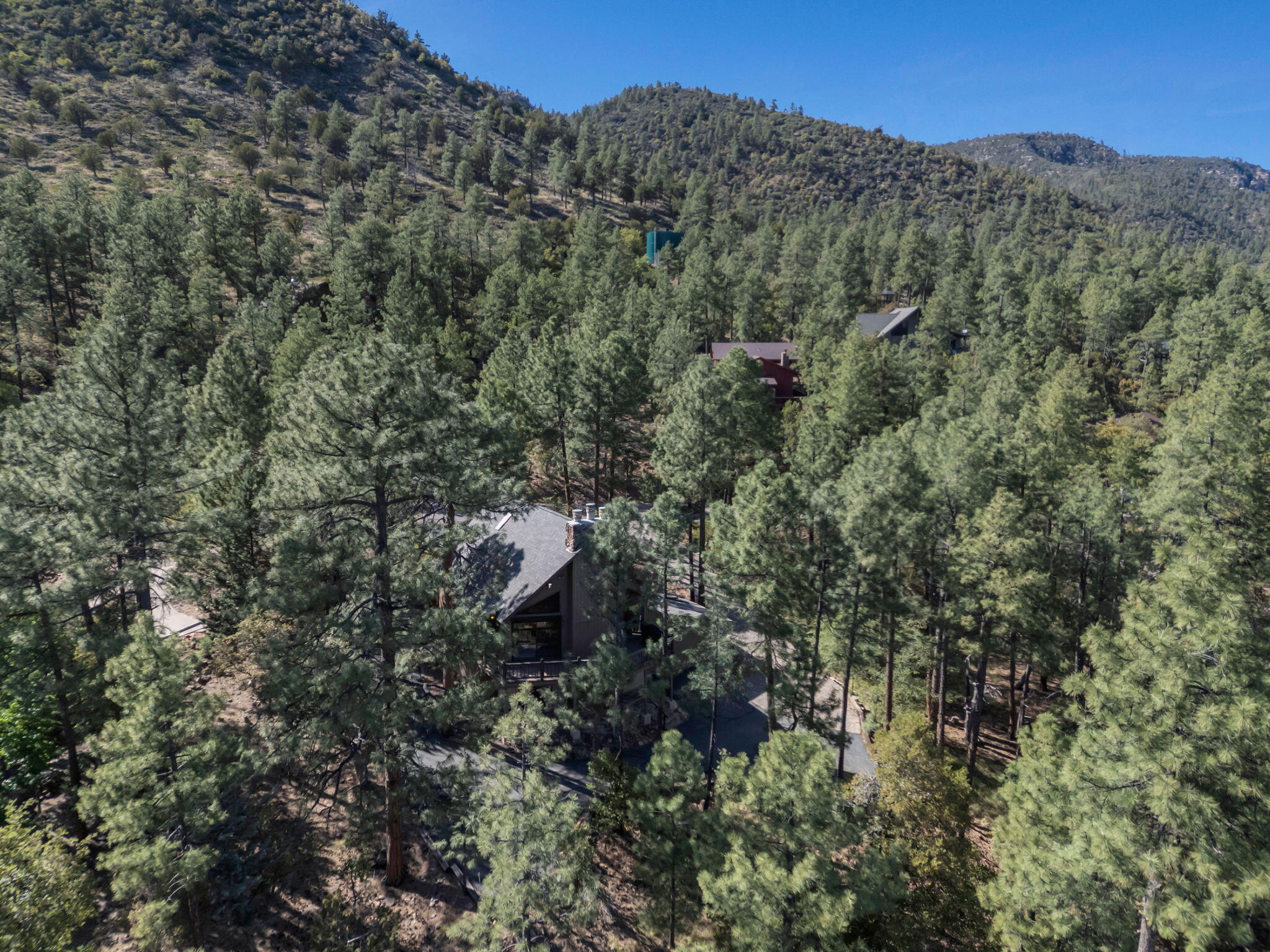 Pine, Arizona, 85544, United States, 3 Bedrooms Bedrooms, ,2 BathroomsBathrooms,Residential,For Sale,1828056