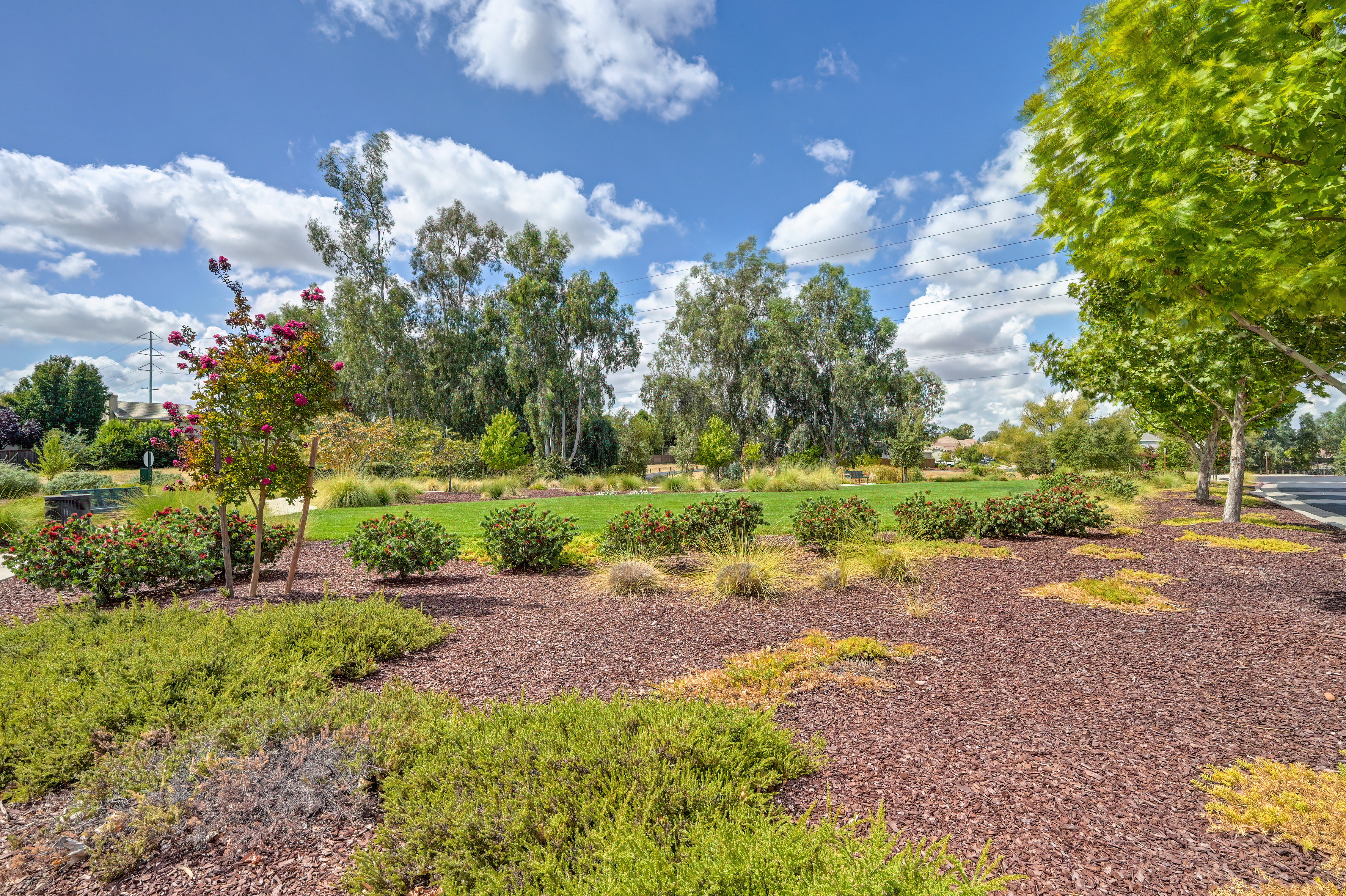  10095 Rio Moon Drive, Roseville, CA 95747 - 物件實景